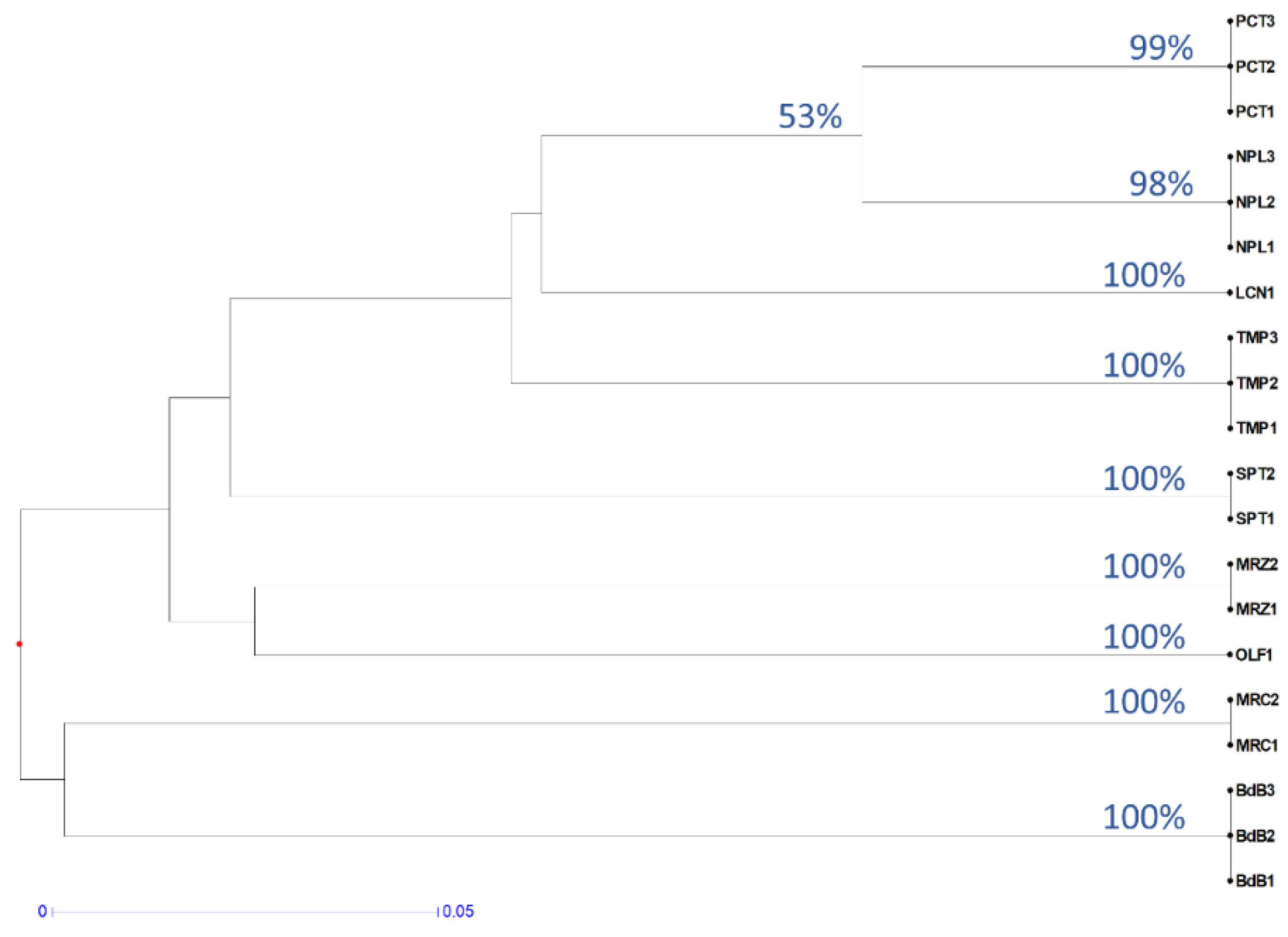 Ijms 21 04805 g003 Ijms 21 04805 g003