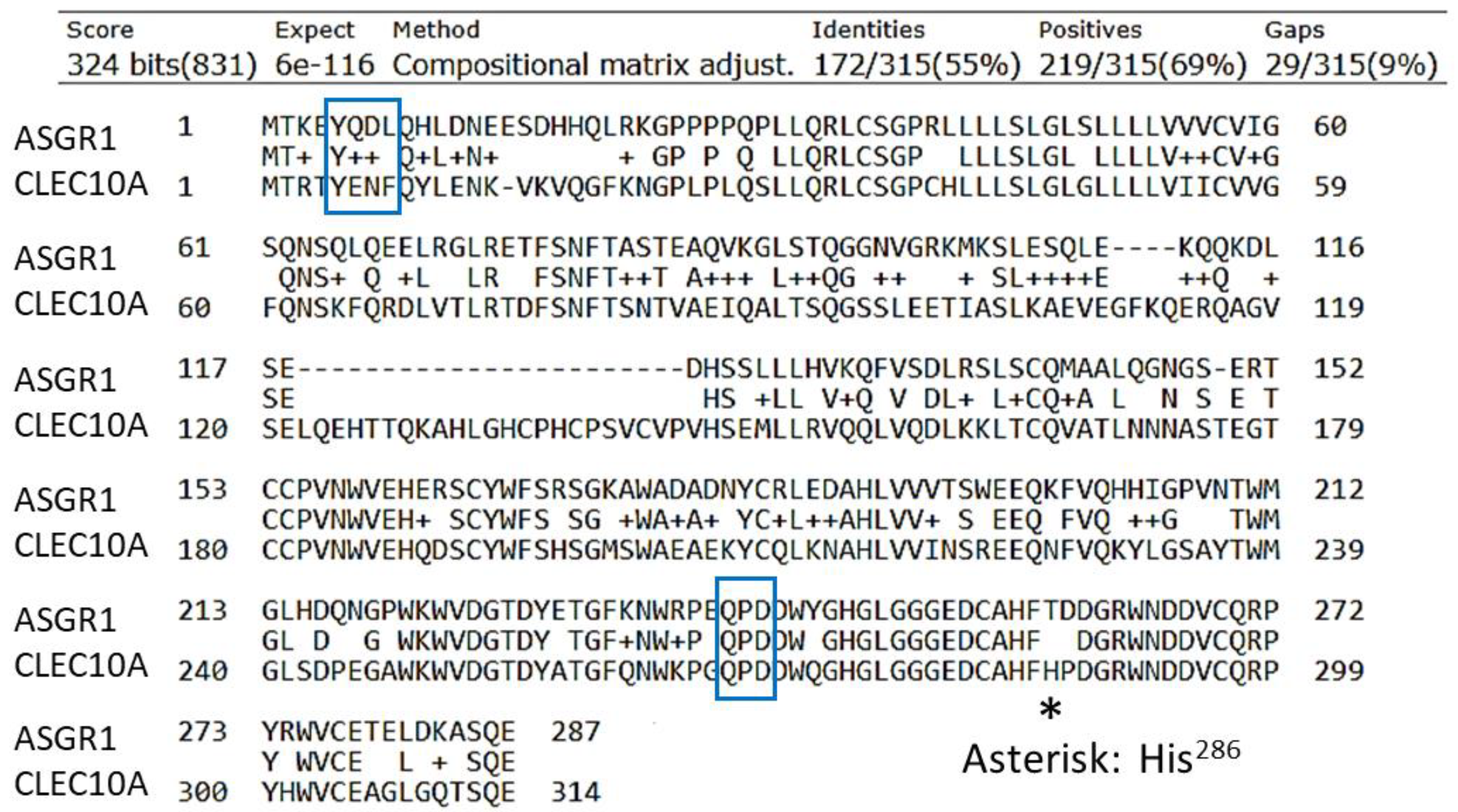 Ijms Free Full Text Asgr1 And Its Enigmatic Relative Clec10a Html