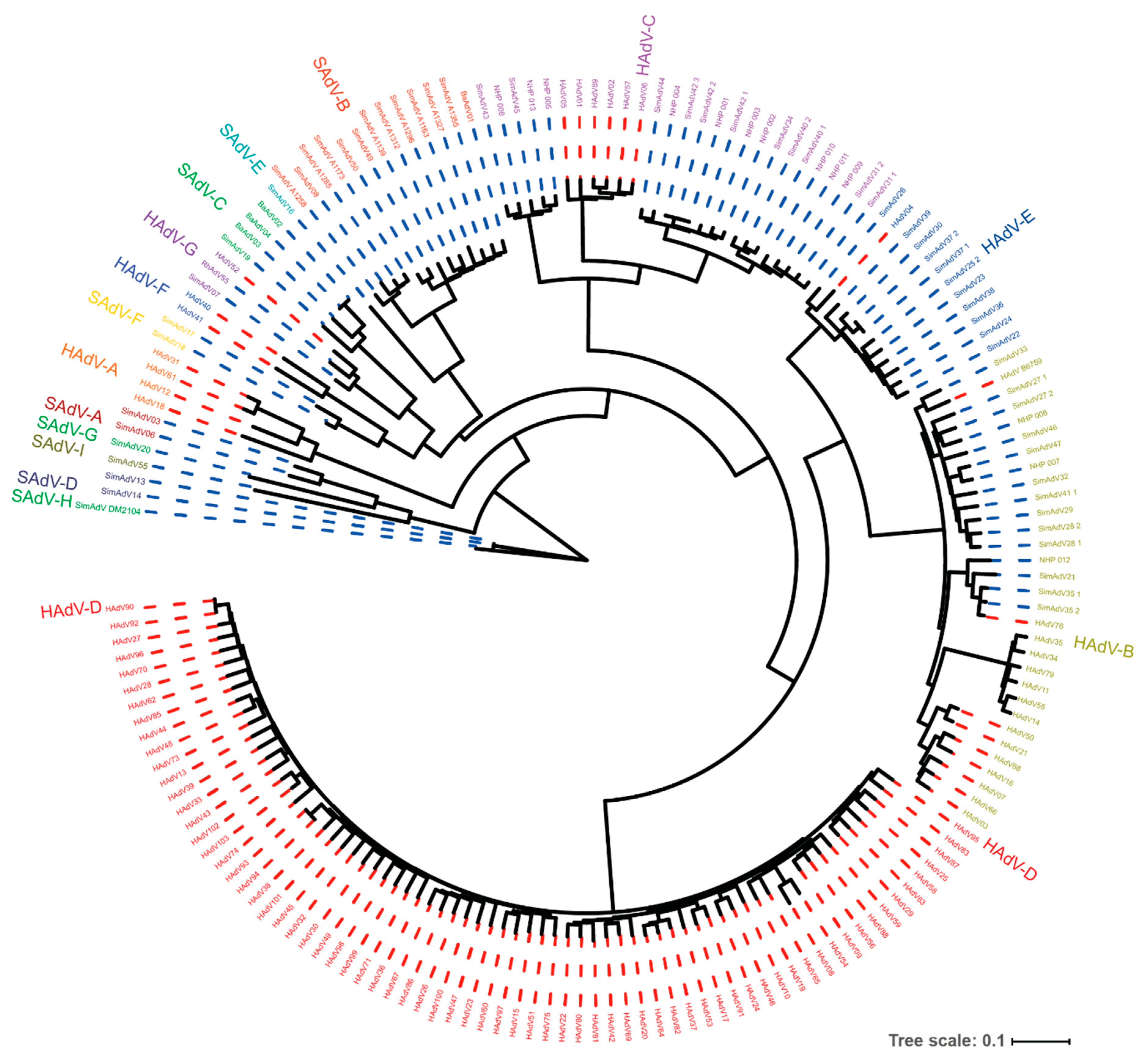 Ijms 21 04821 g001 Ijms 21 04821 g001