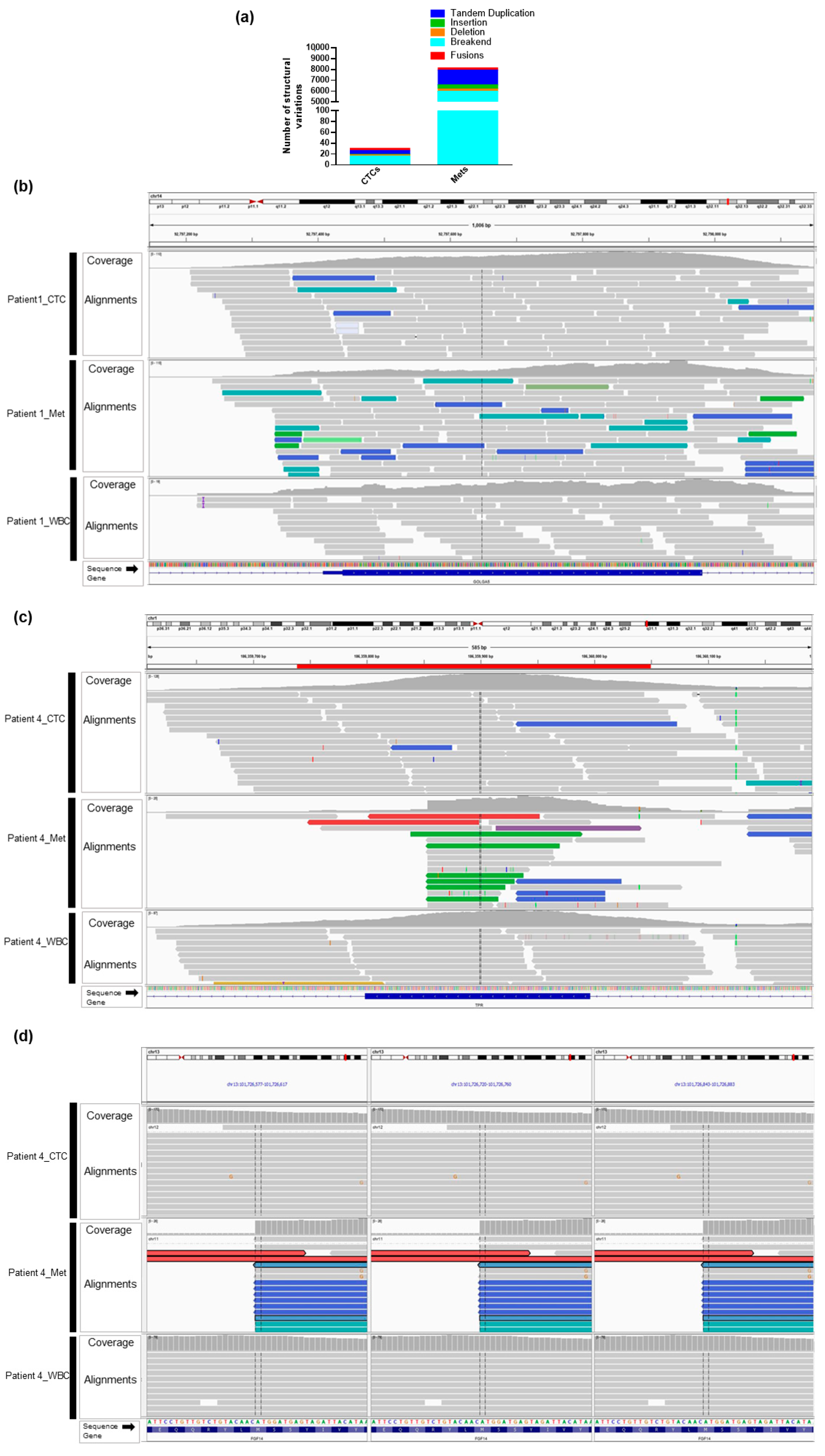 Ijms 21 04826 g003 Ijms 21 04826 g003