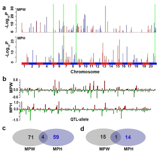 Comprehensive Identification of Drought Tolerance QTL-Allele