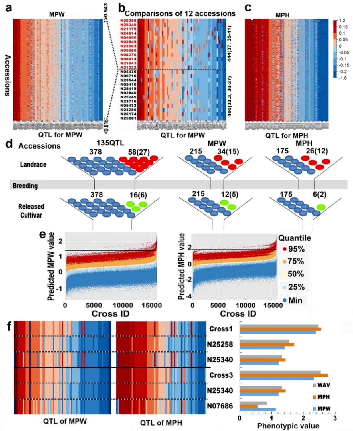 Comprehensive Identification of Drought Tolerance QTL-Allele