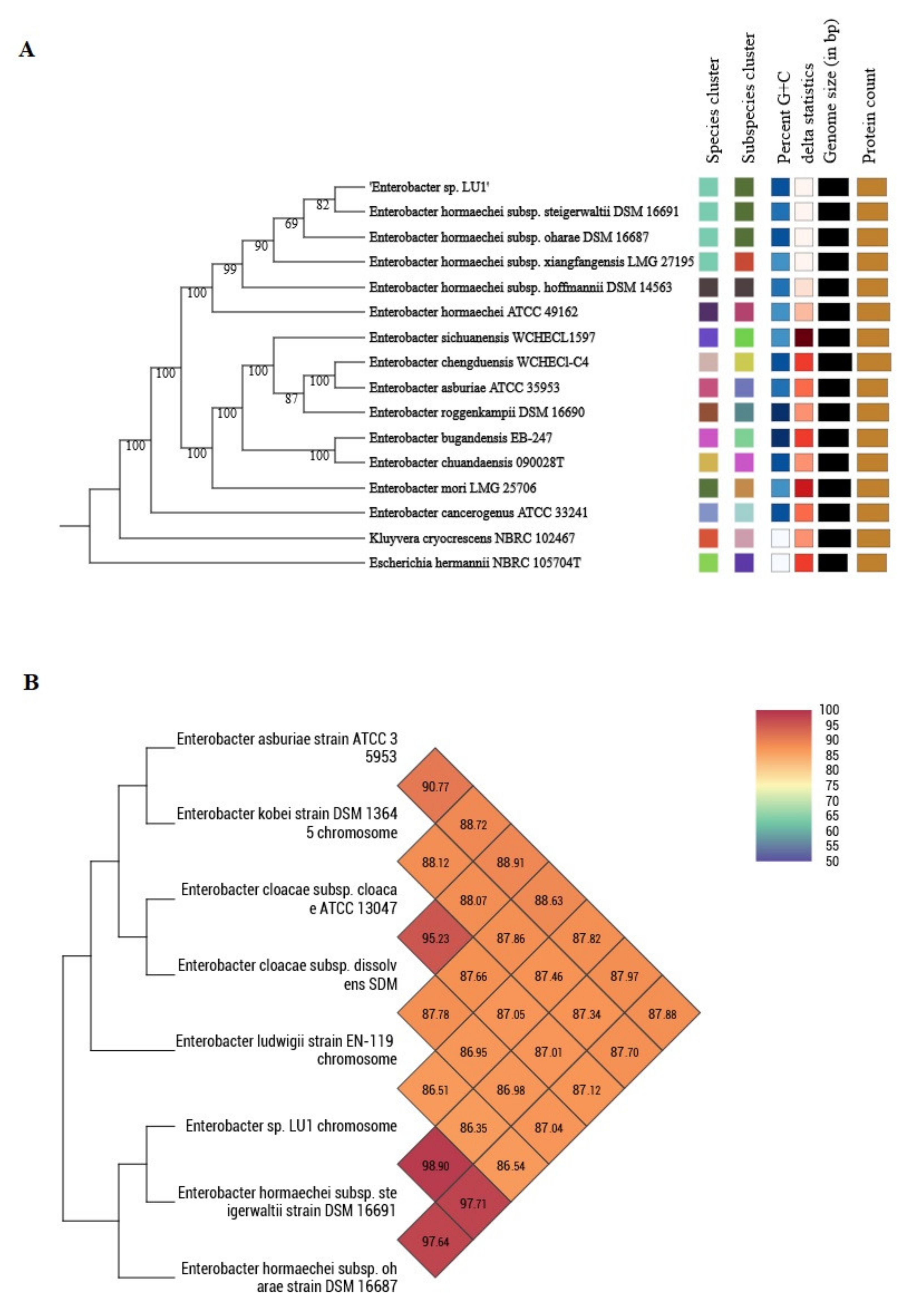 Ijms 21 04835 g001 Ijms 21 04835 g001