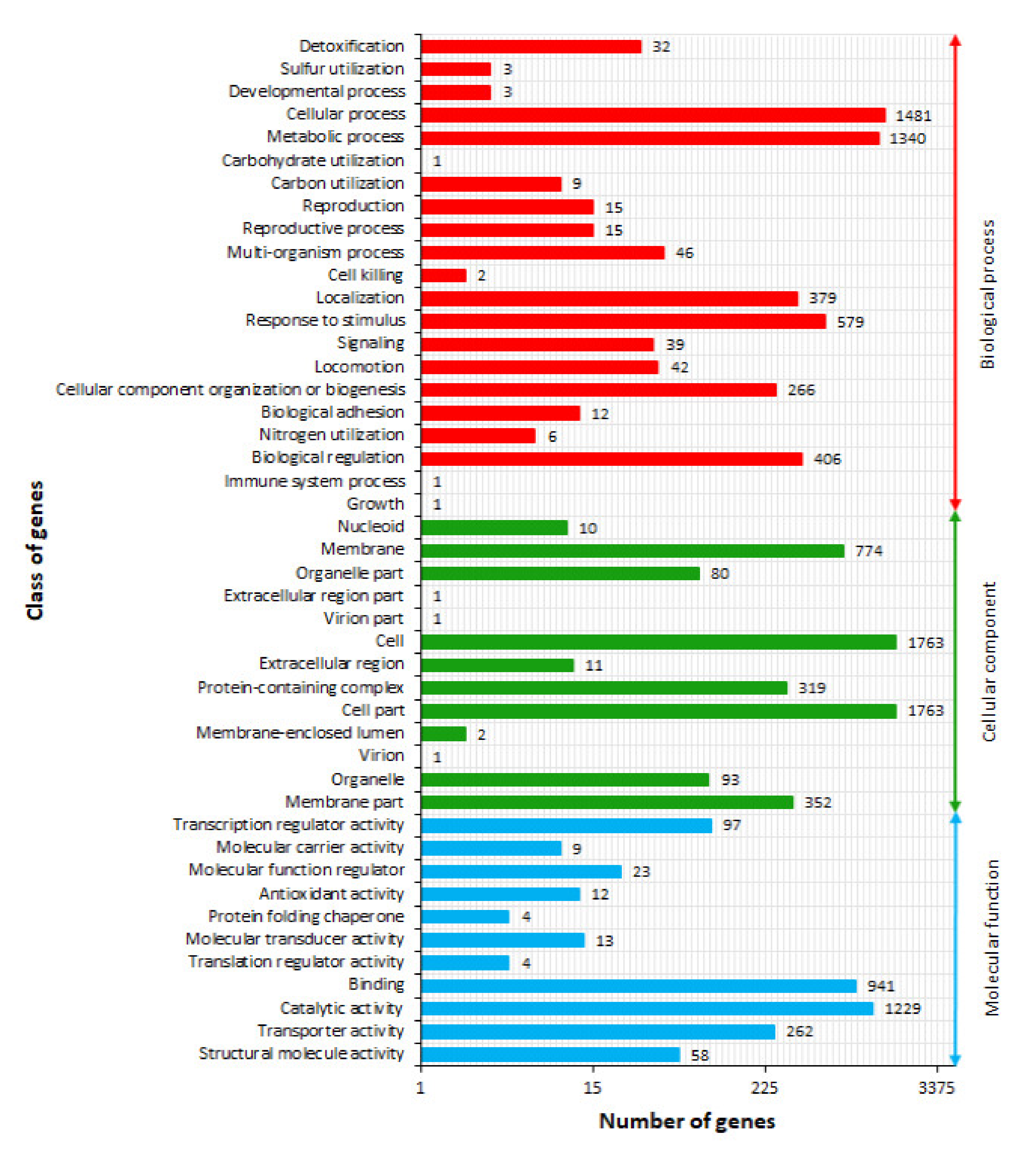 Ijms 21 04835 g004 Ijms 21 04835 g004