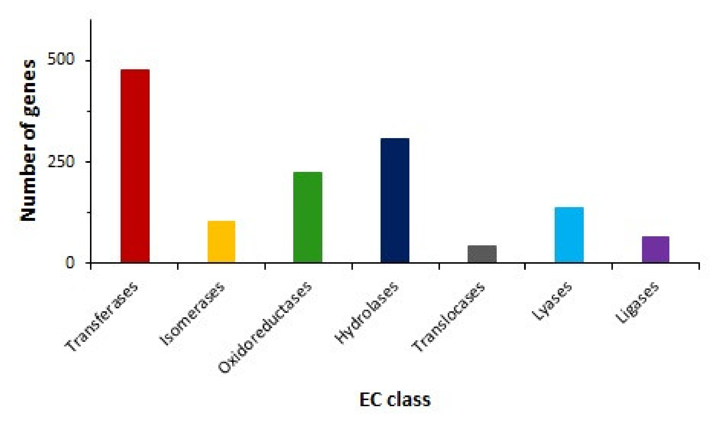 Ijms 21 04835 g005 Ijms 21 04835 g005