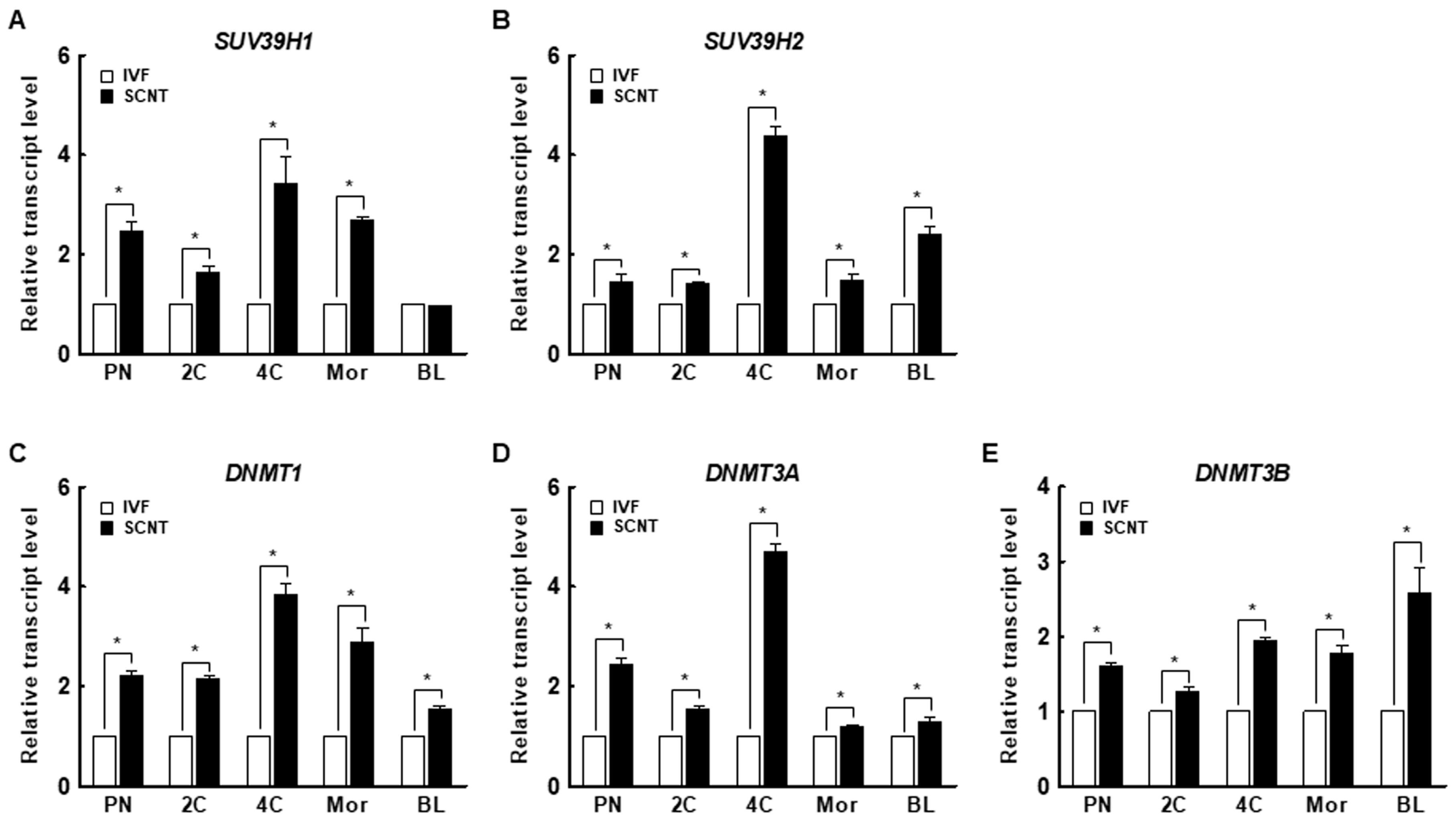 Ijms 21 04836 g002 Ijms 21 04836 g002