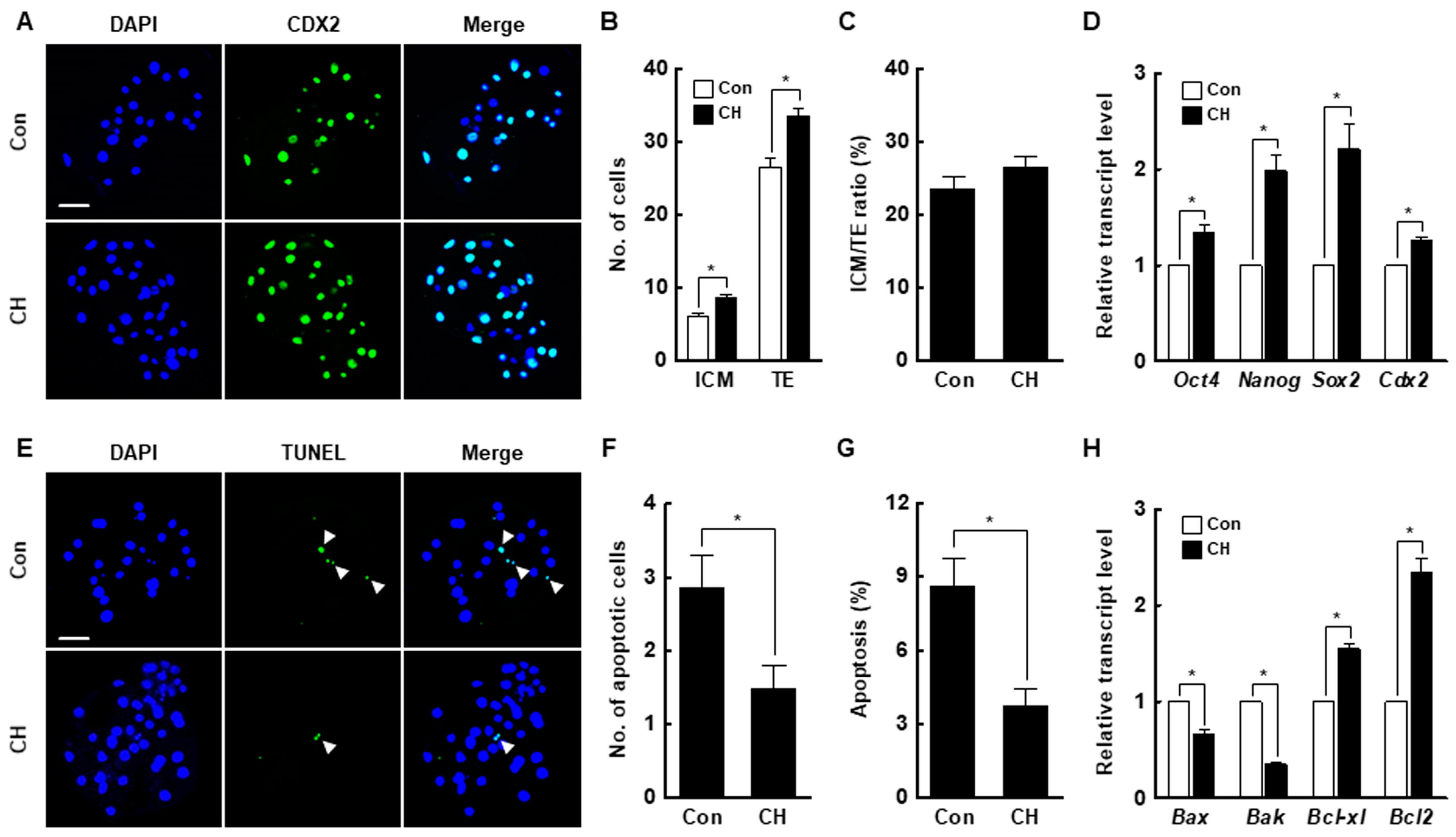 Ijms 21 04836 g004 Ijms 21 04836 g004