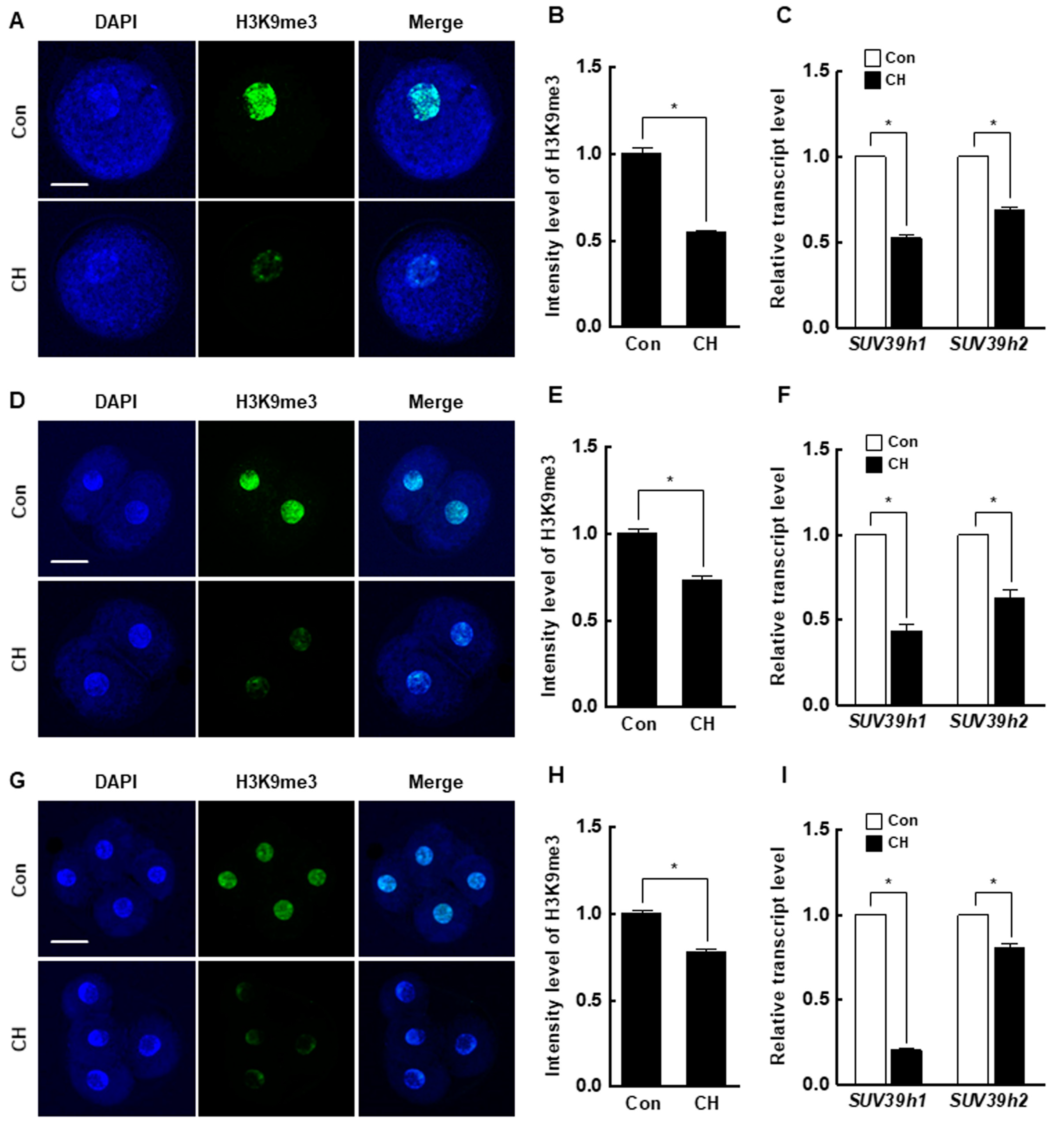 Ijms 21 04836 g005 Ijms 21 04836 g005