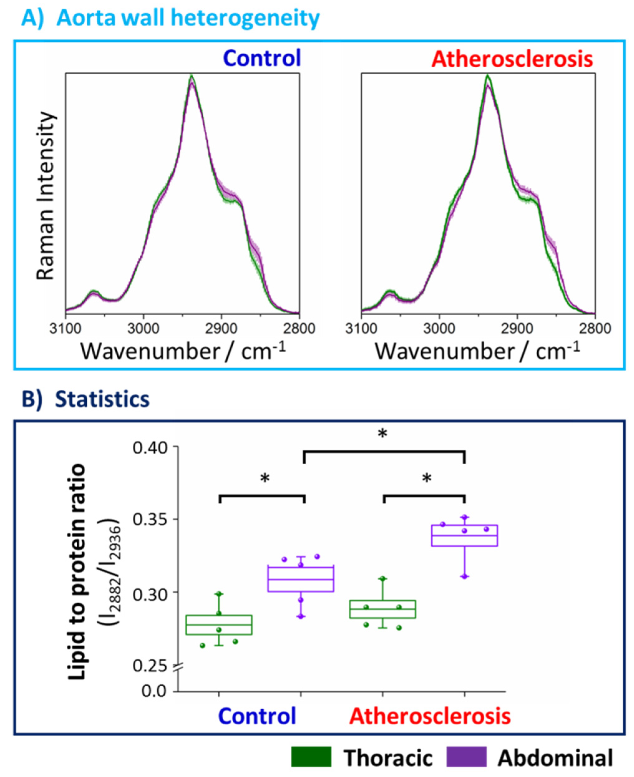 Ijms 21 04838 g003 Ijms 21 04838 g003