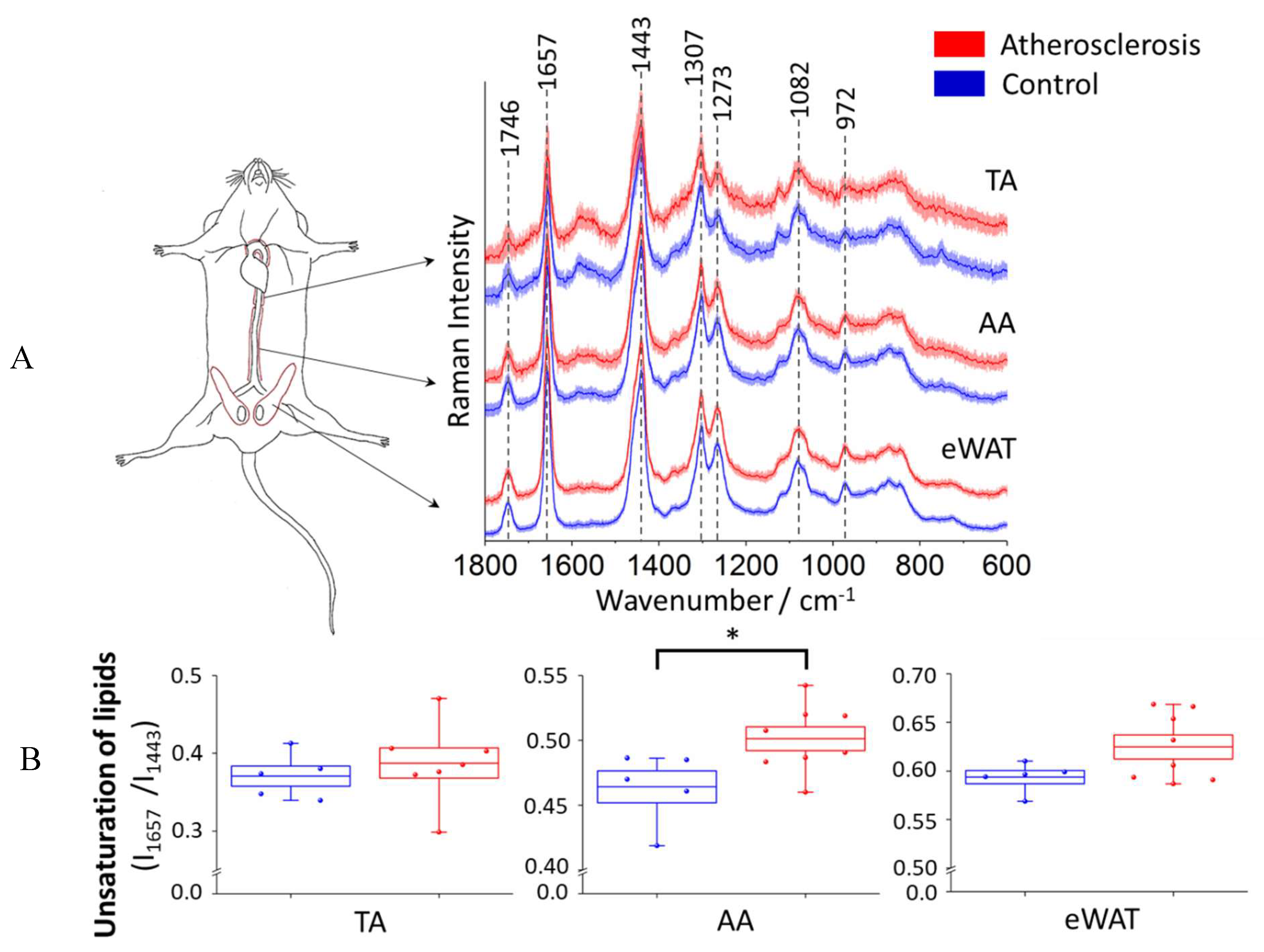 Ijms 21 04838 g004 Ijms 21 04838 g004