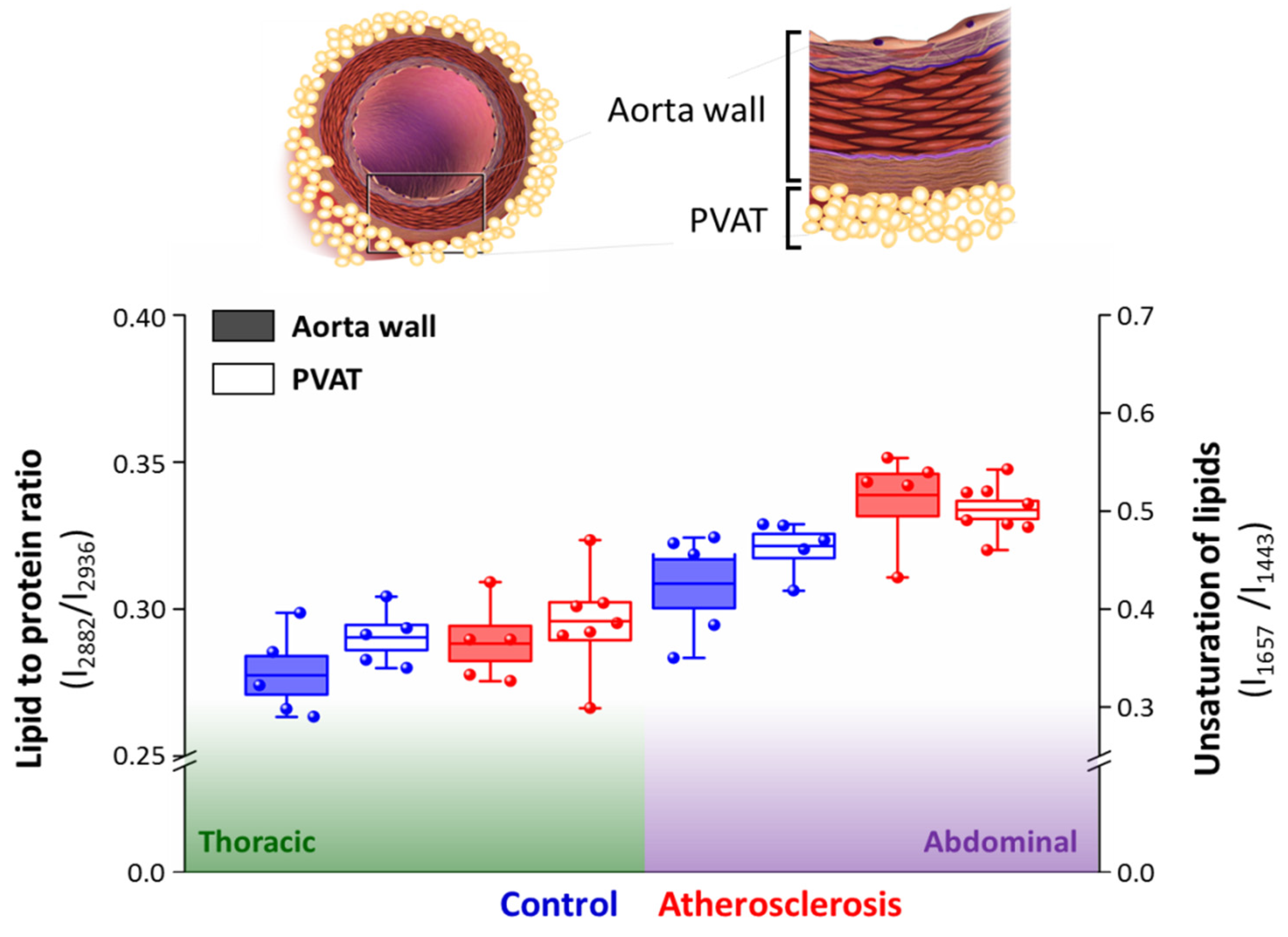 Ijms 21 04838 g005 Ijms 21 04838 g005