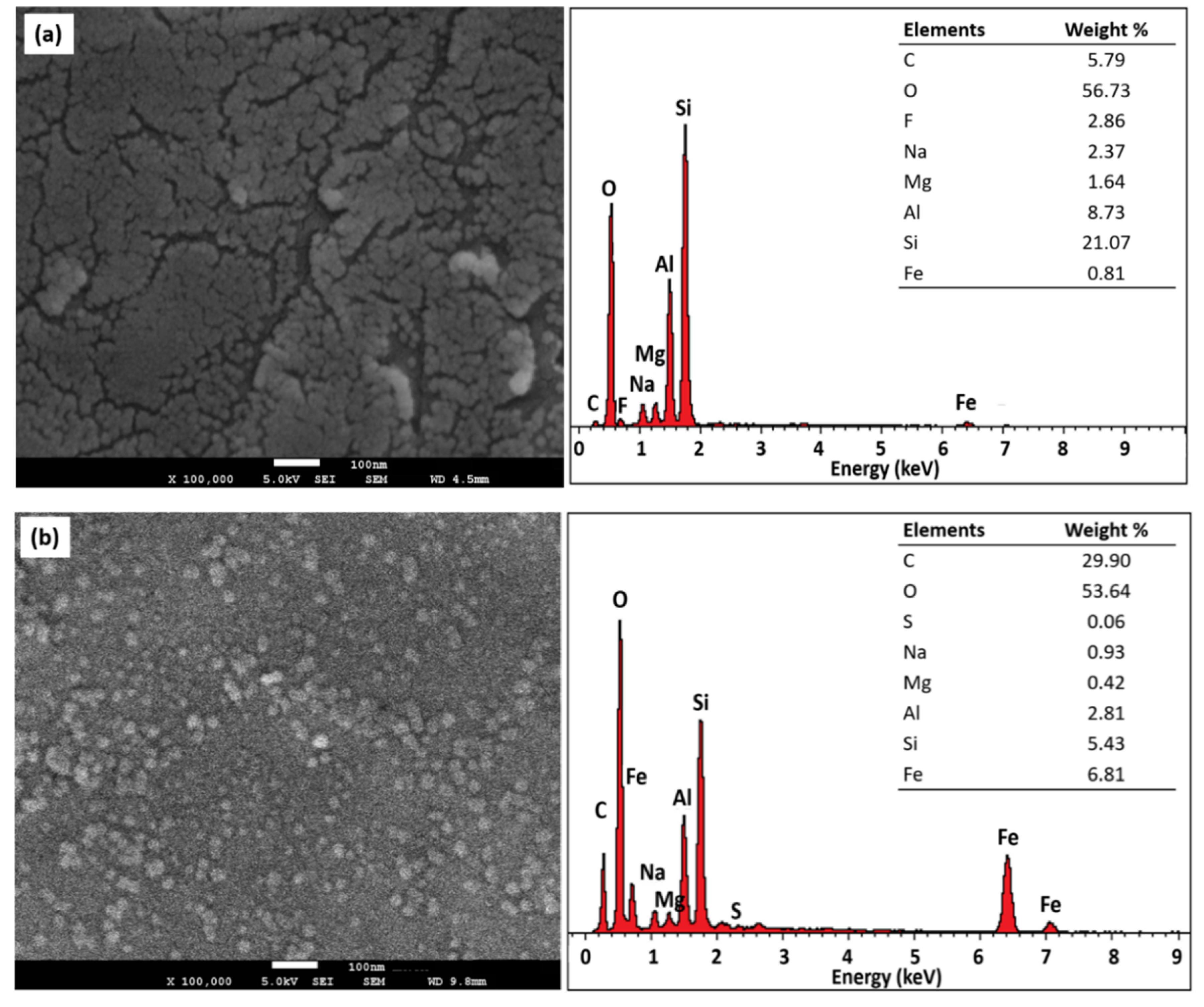 Ijms 21 04851 g004 Ijms 21 04851 g004