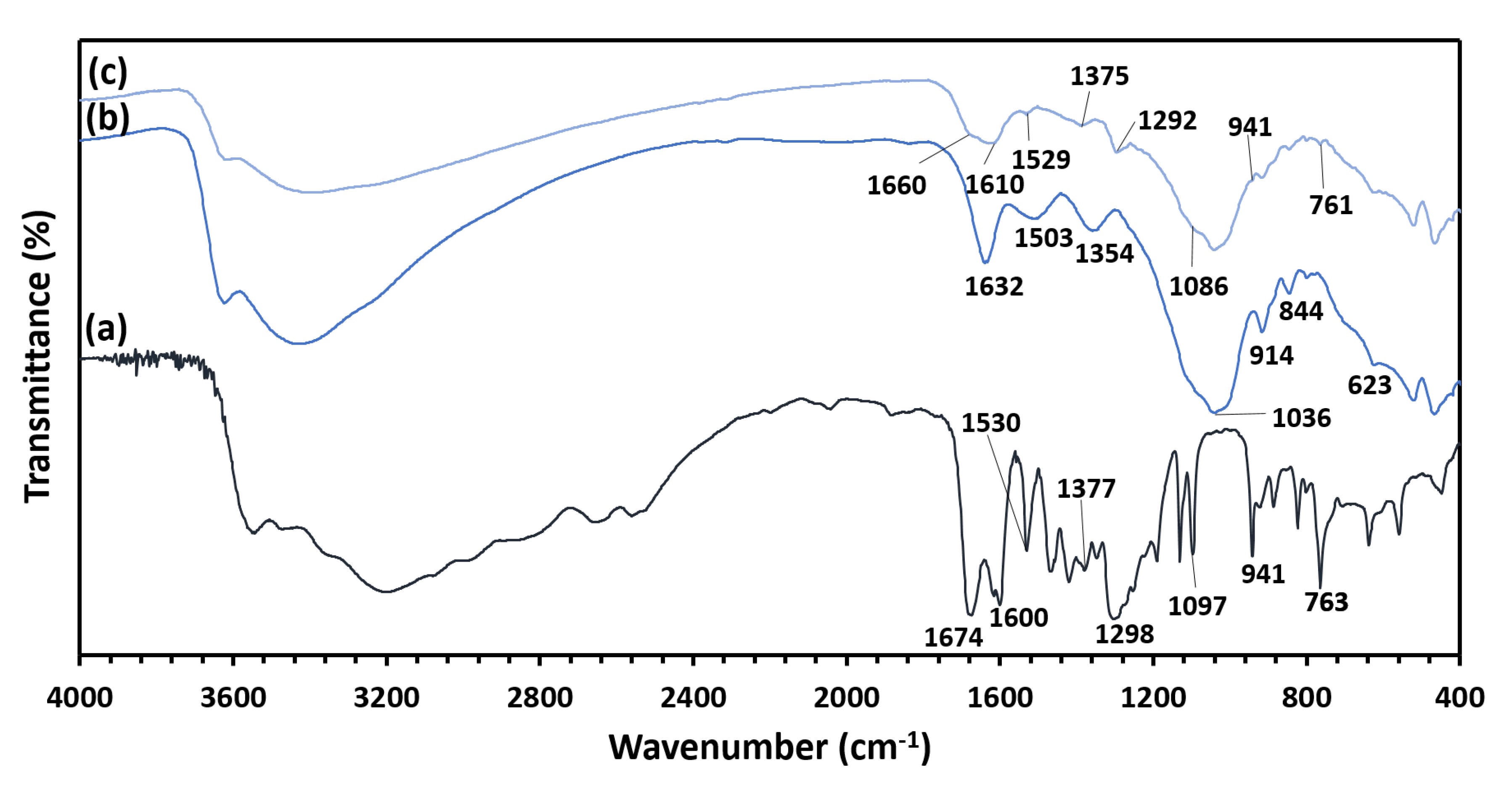 Ijms 21 04851 g006 Ijms 21 04851 g006