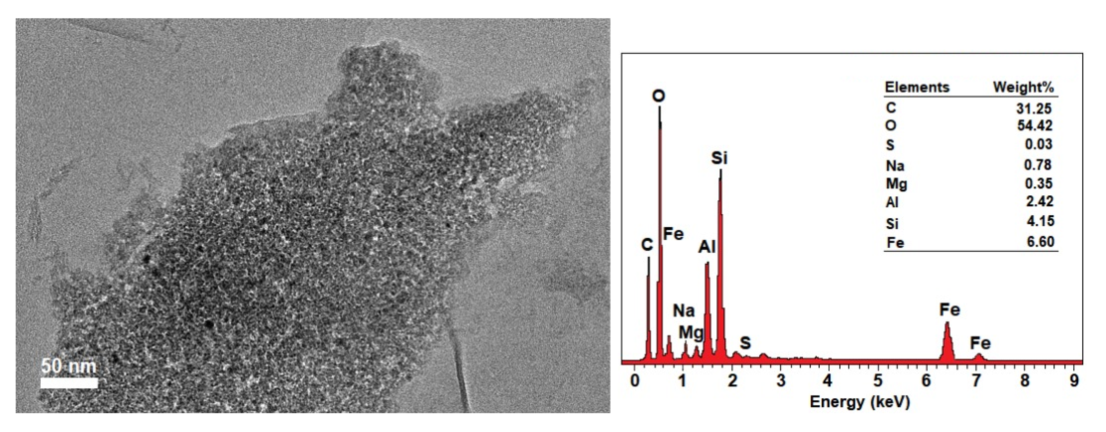 Ijms 21 04851 g007 Ijms 21 04851 g007