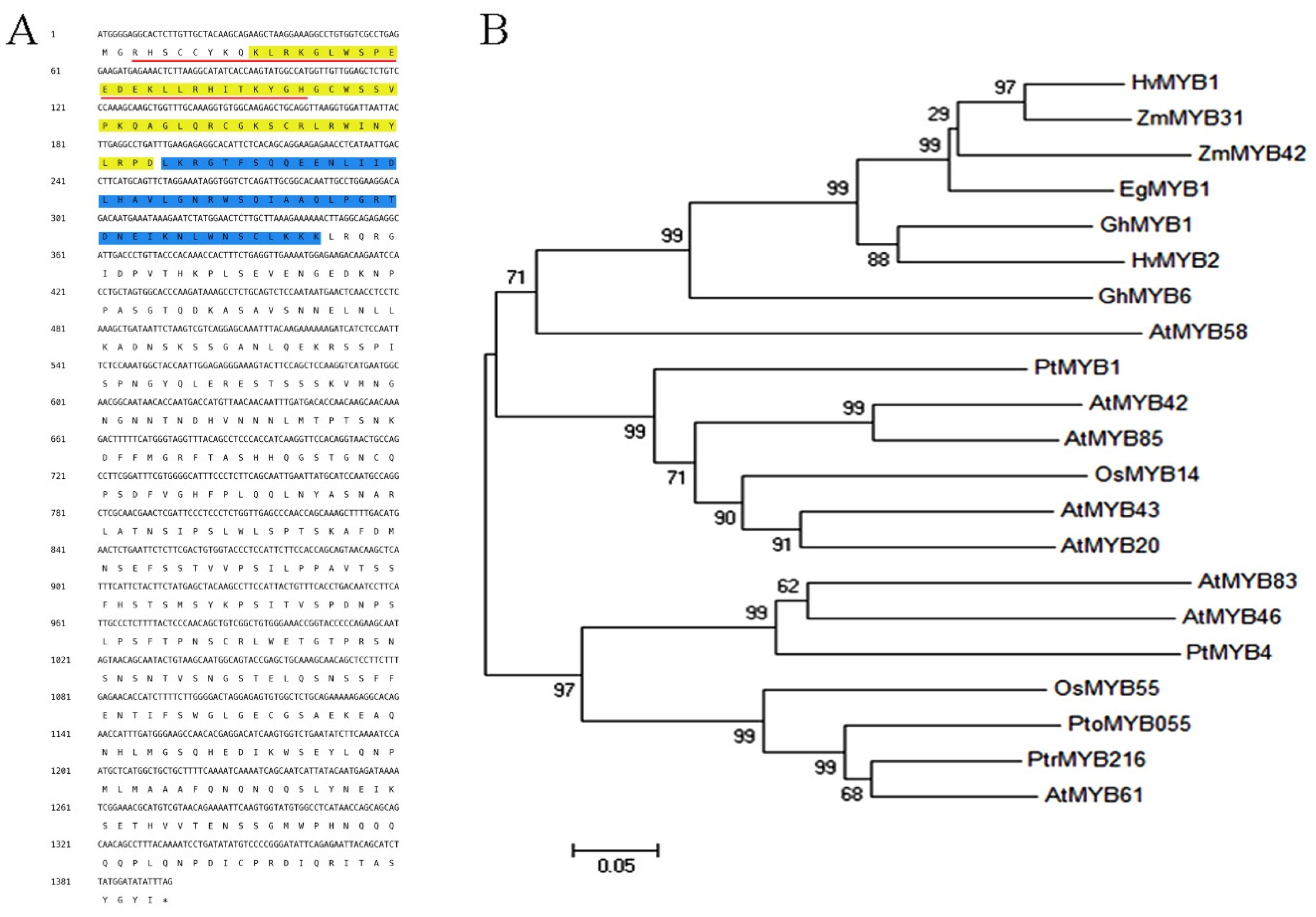 Ijms 21 04857 g001 Ijms 21 04857 g001