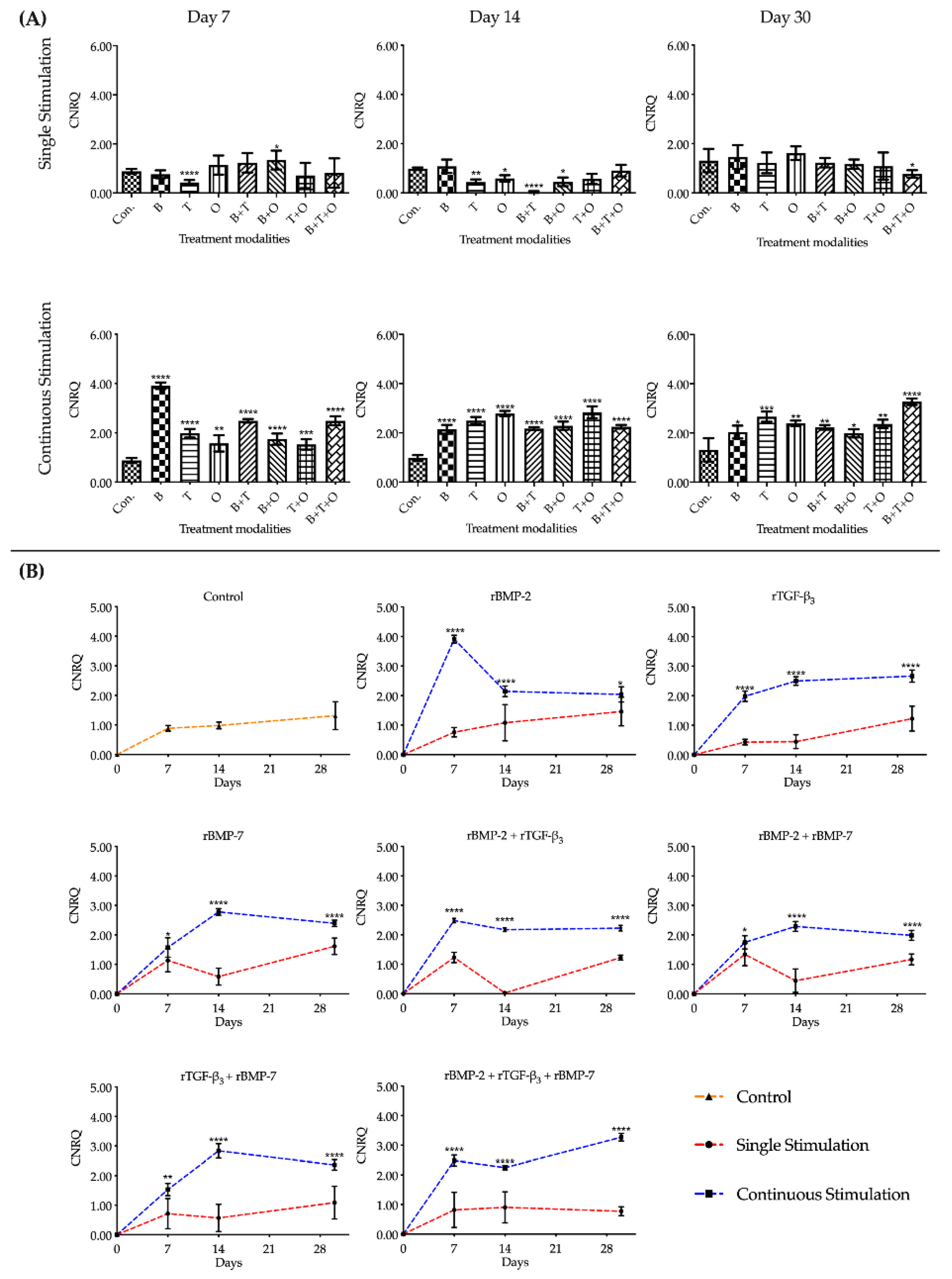 Ijms 21 04863 g001 Ijms 21 04863 g001