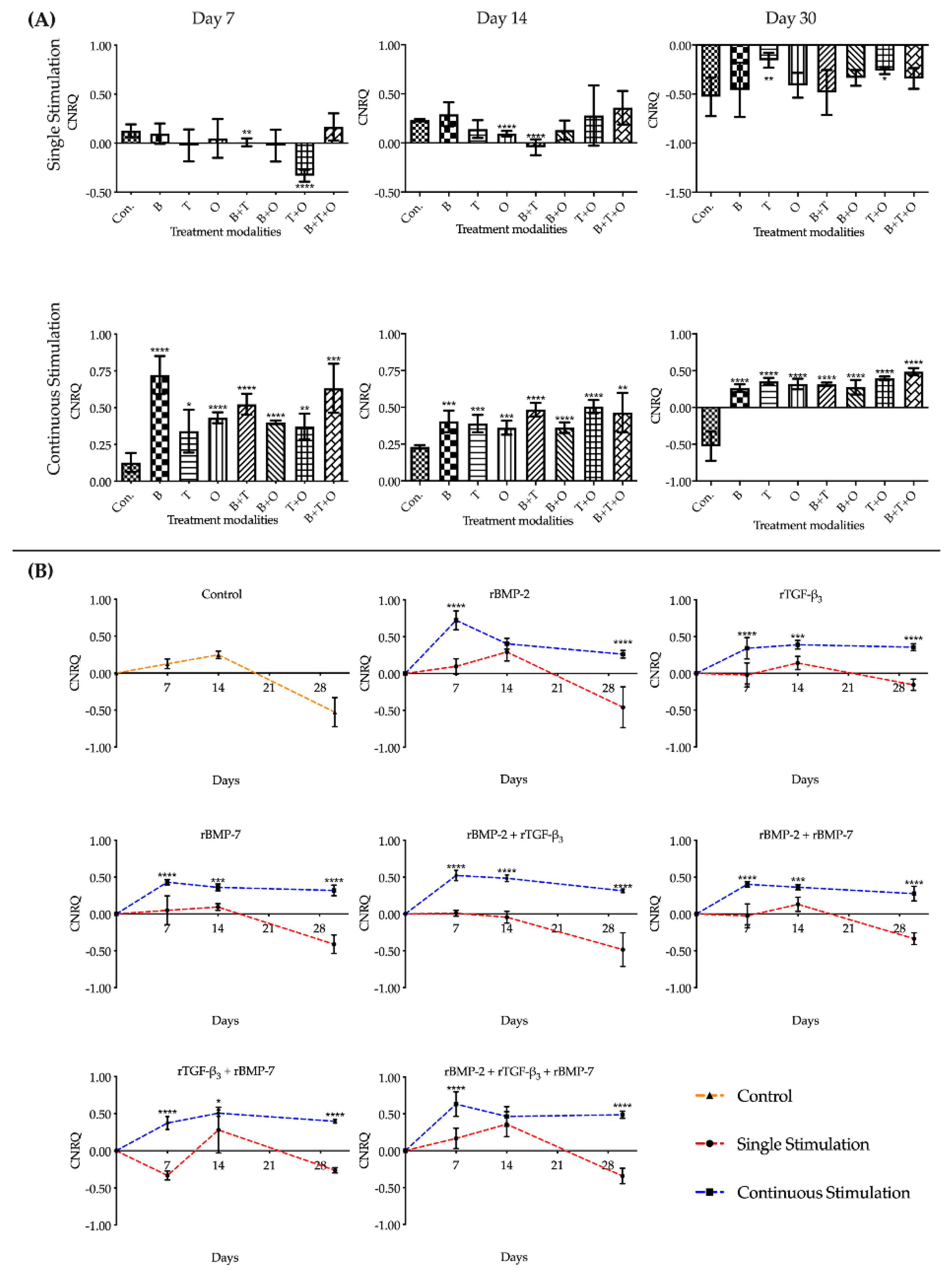 Ijms 21 04863 g002 Ijms 21 04863 g002