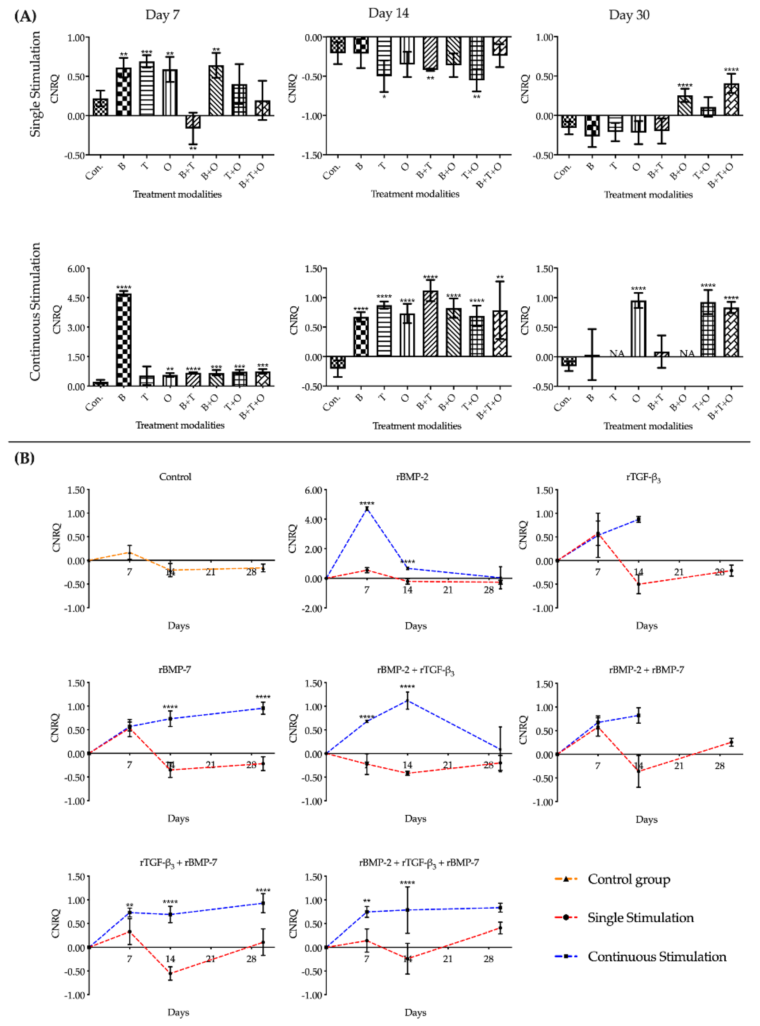 Ijms 21 04863 g003 Ijms 21 04863 g003