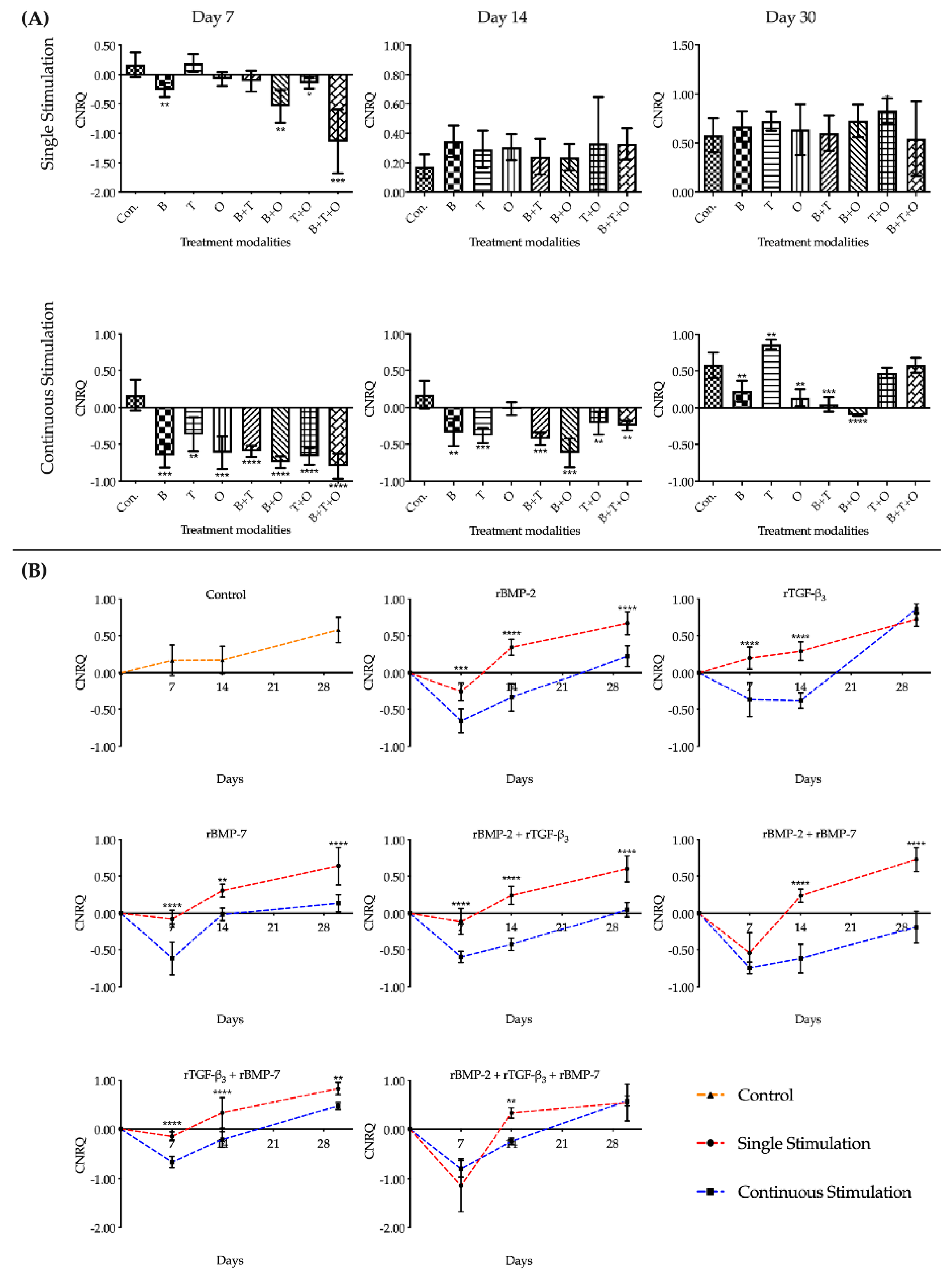 Ijms 21 04863 g004 Ijms 21 04863 g004