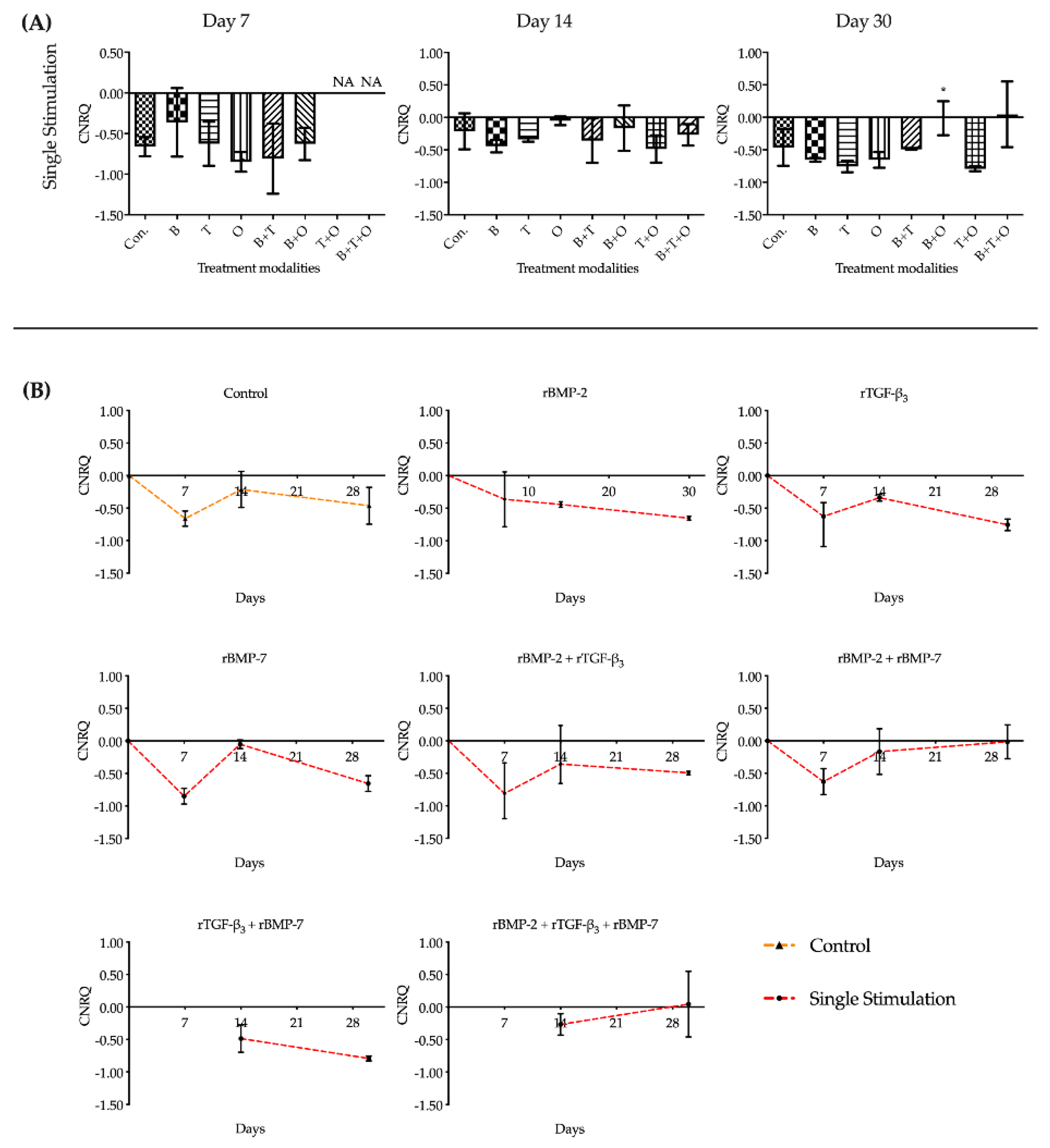 Ijms 21 04863 g005 Ijms 21 04863 g005