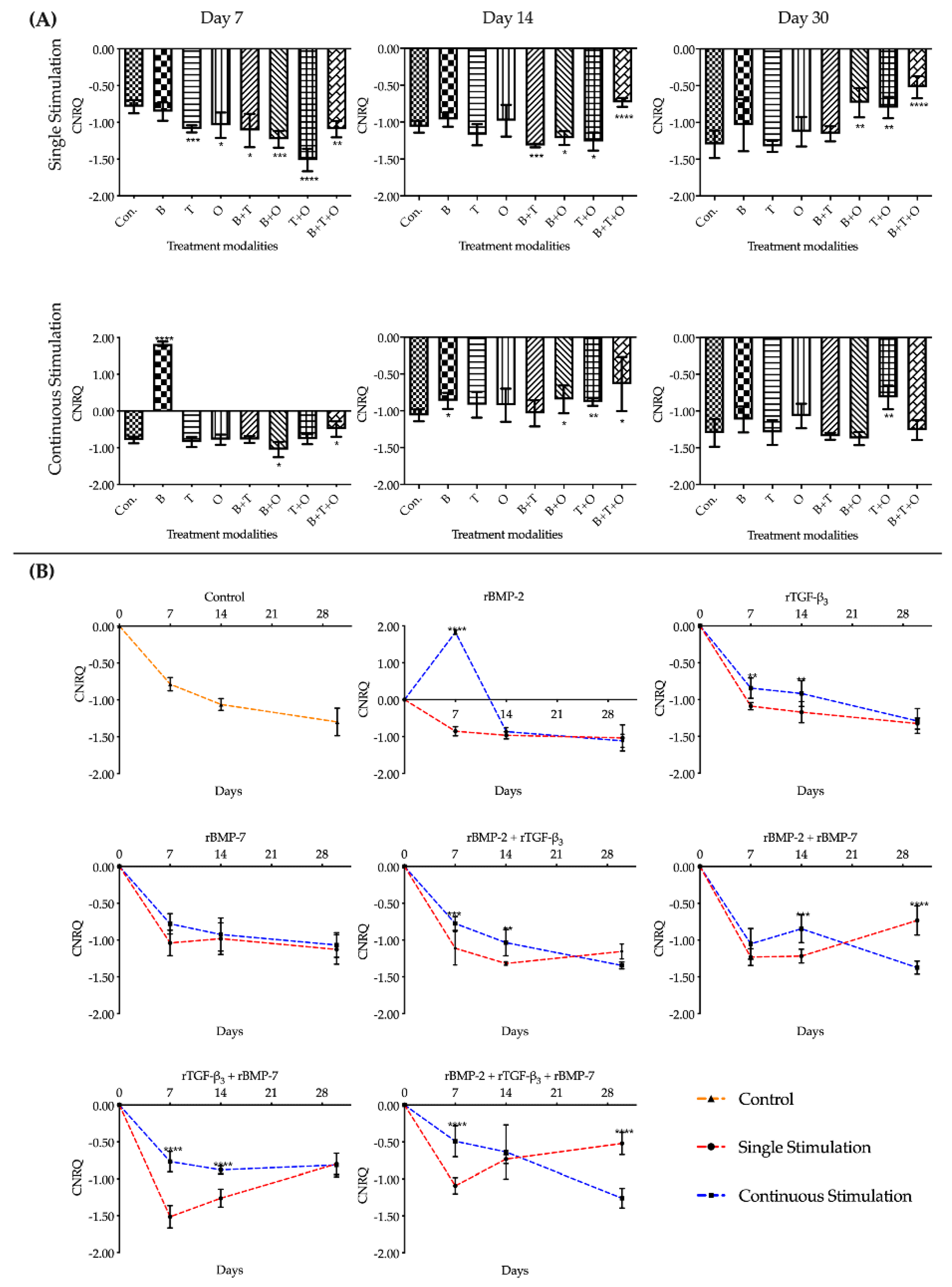 Ijms 21 04863 g006 Ijms 21 04863 g006