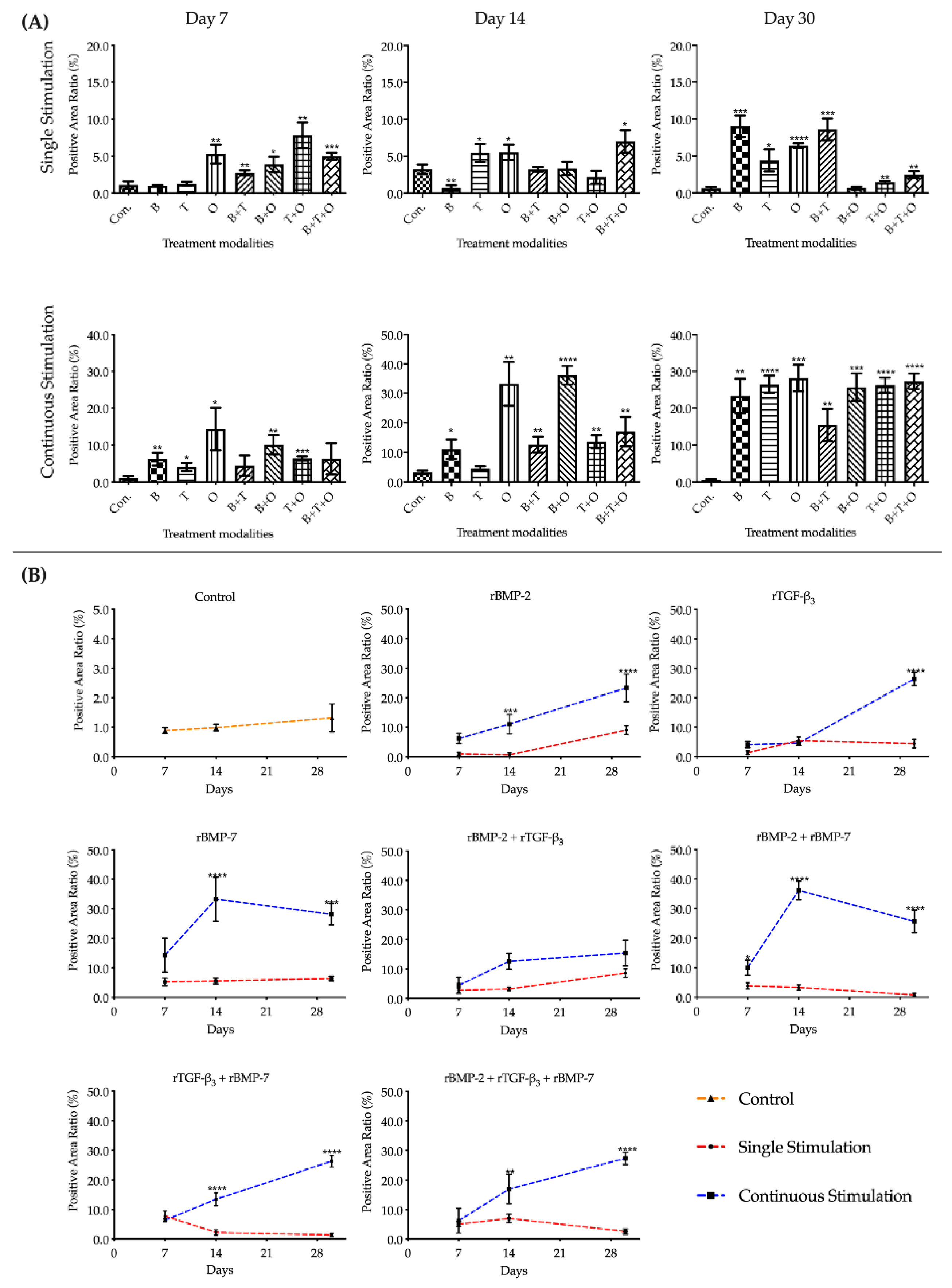 Ijms 21 04863 g008 Ijms 21 04863 g008