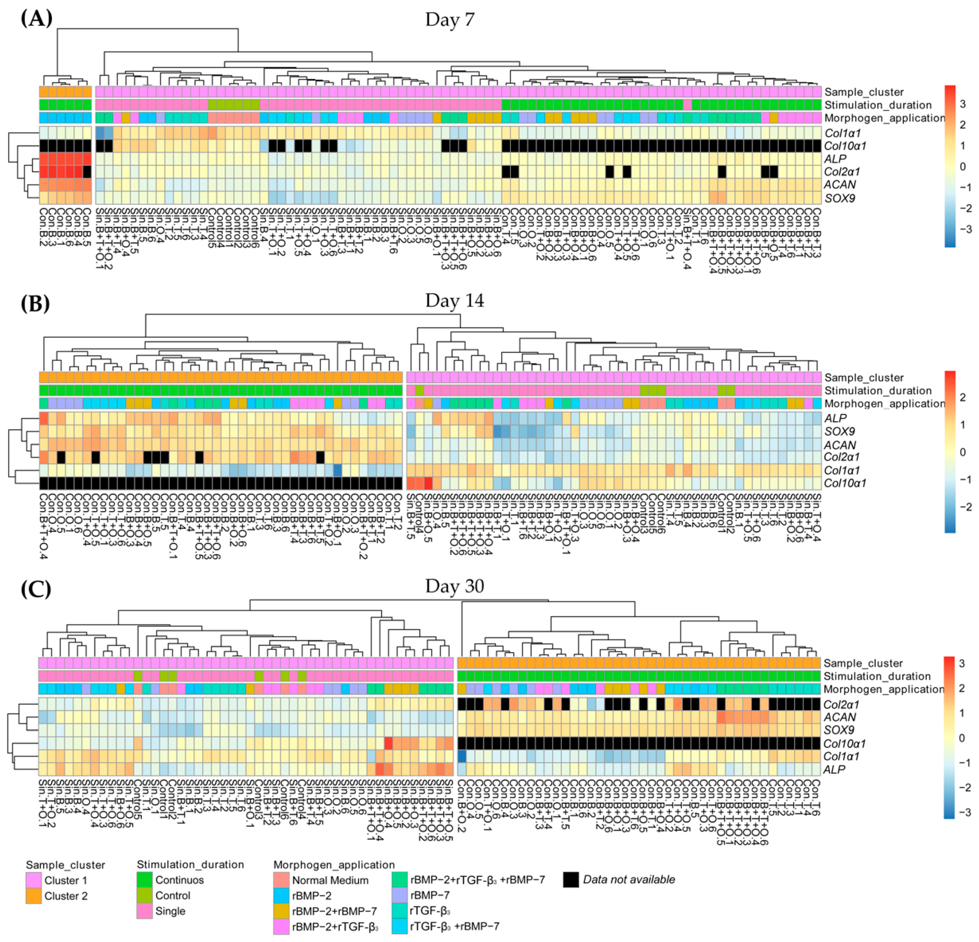 Ijms 21 04863 g010 Ijms 21 04863 g010