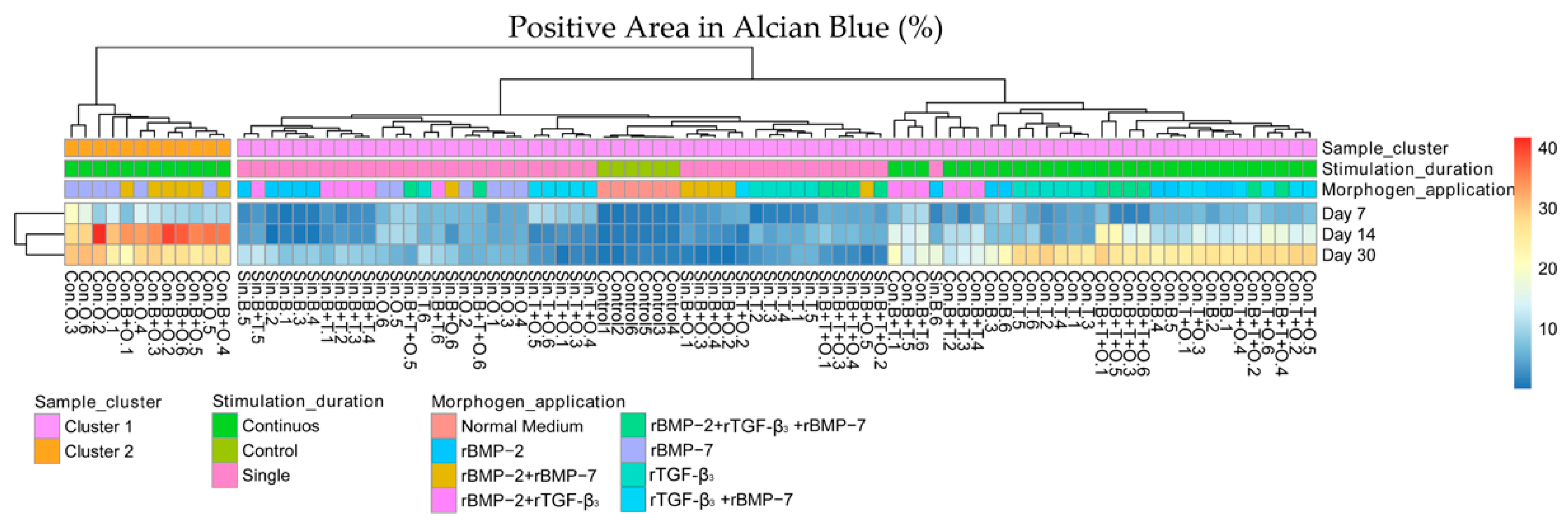 Ijms 21 04863 g011 Ijms 21 04863 g011