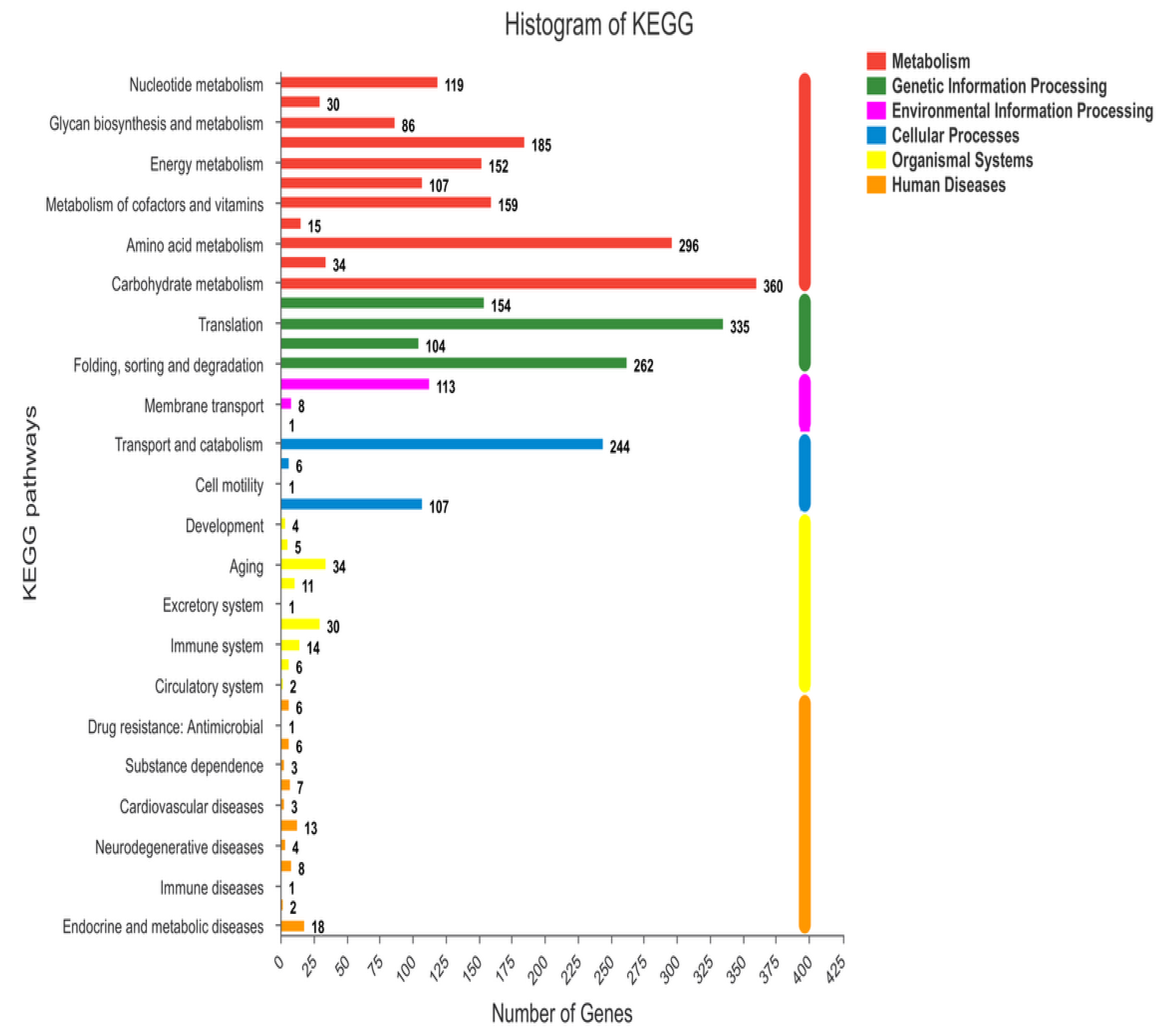 Ijms 21 04865 g004 Ijms 21 04865 g004