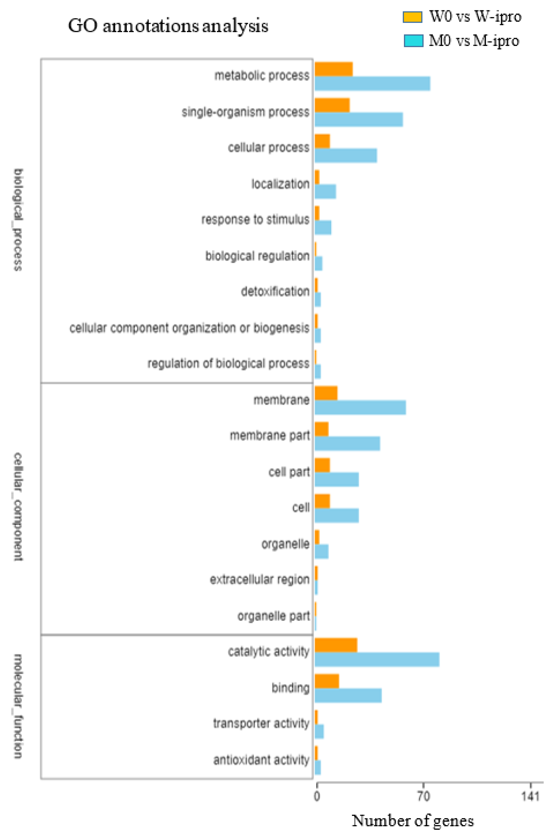 Ijms 21 04865 g005 Ijms 21 04865 g005