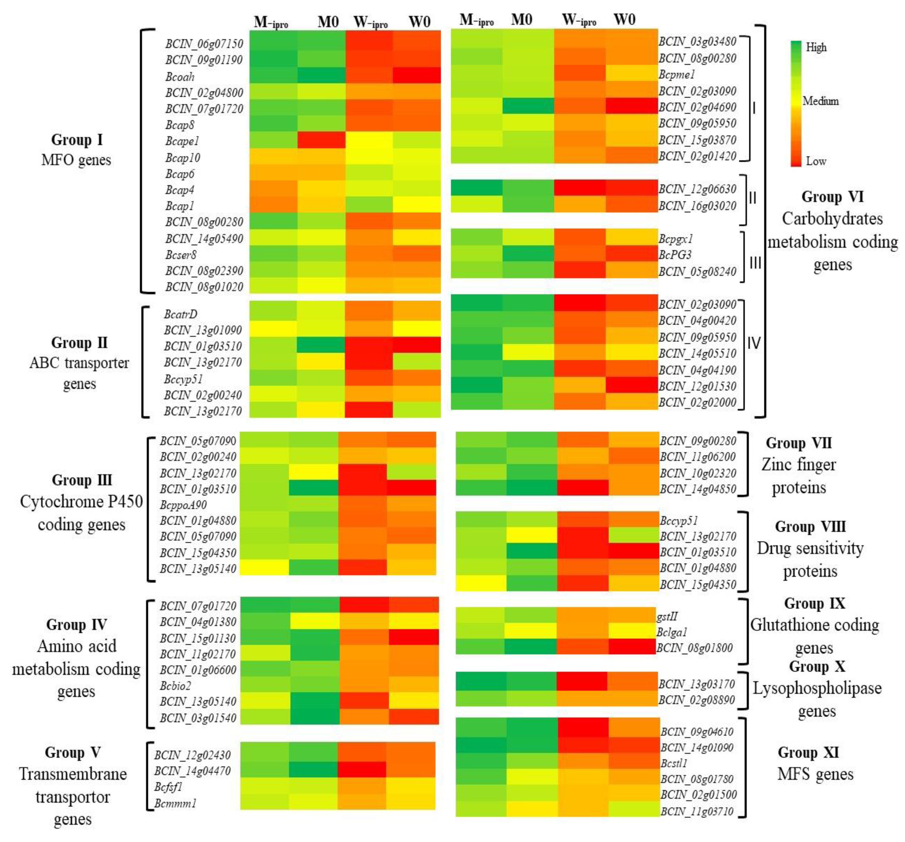 Ijms 21 04865 g006 Ijms 21 04865 g006