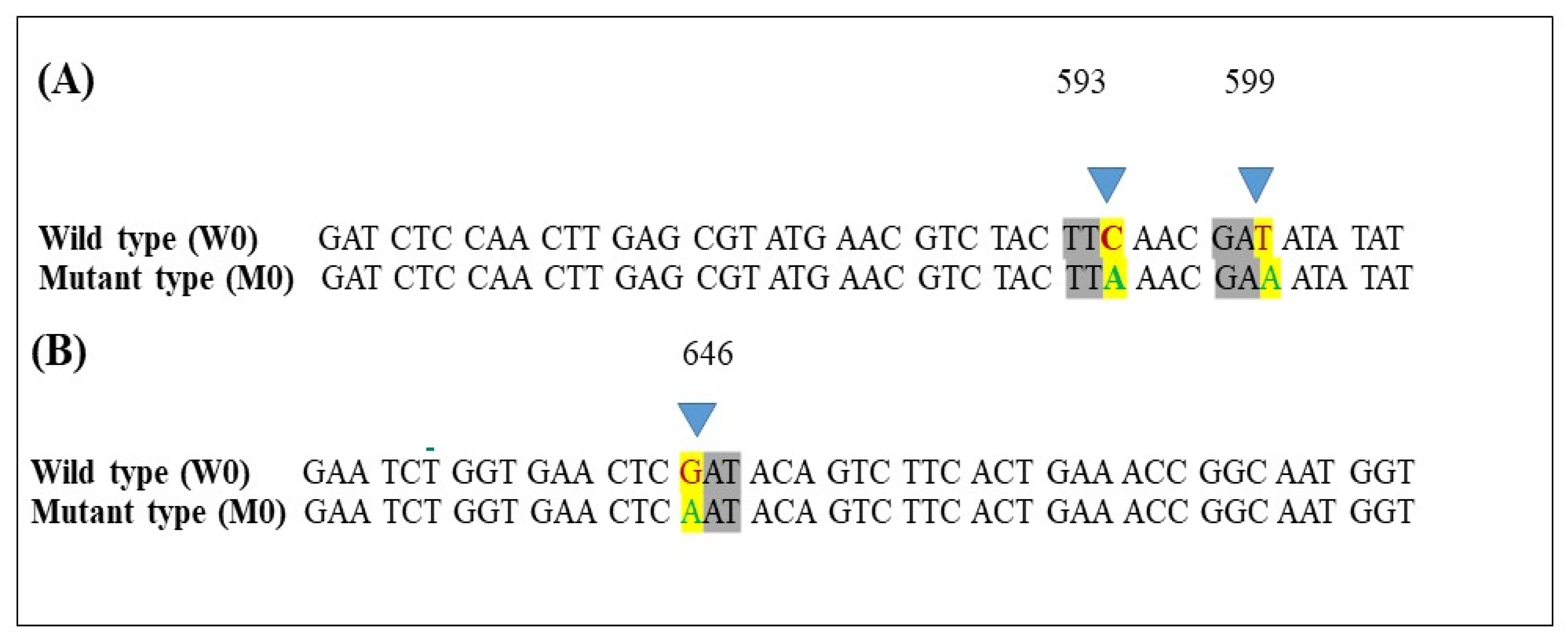 Ijms 21 04865 g008 Ijms 21 04865 g008