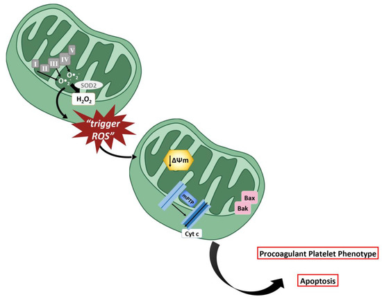 glutathione and platelets The Role of in Prevention of COVID-19 Immunothrombosis: A Review Antibodies to Amustaline/Glutathione Pathogen Reduced