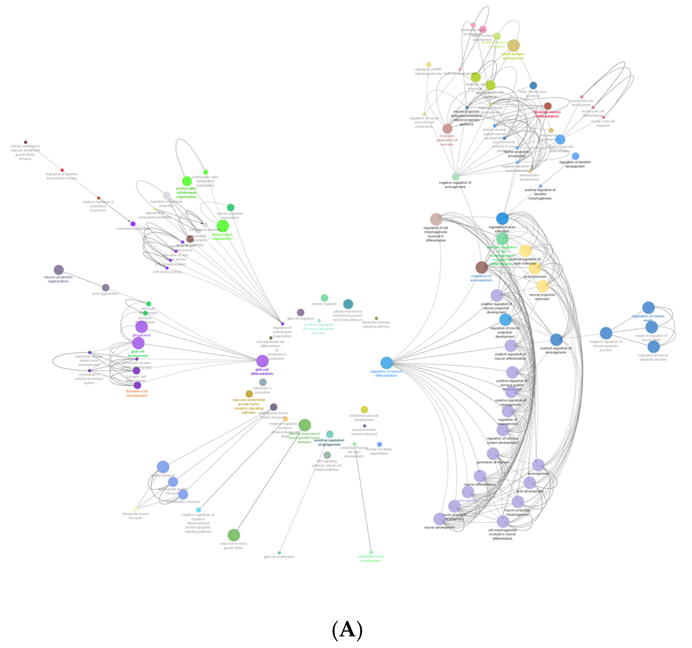 Ijms 21 04867 g003a Ijms 21 04867 g003a