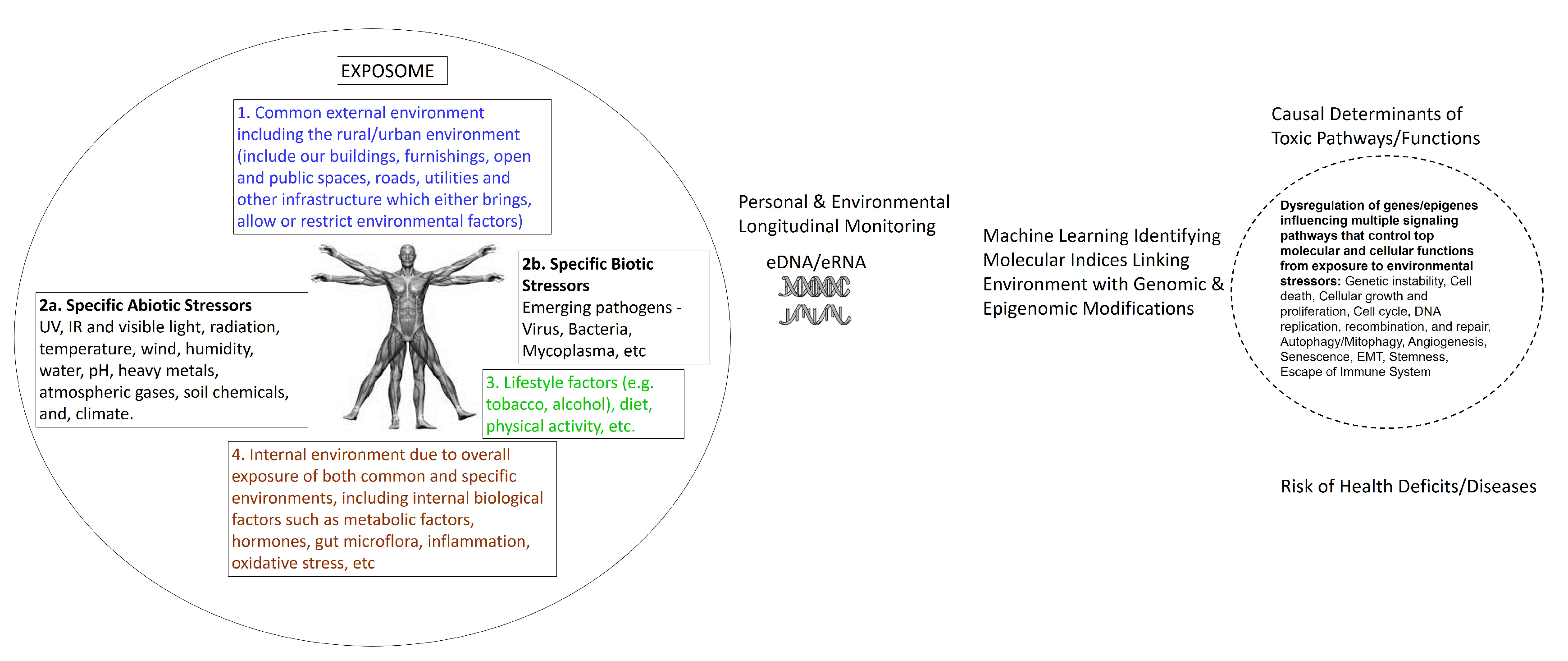 Ijms 21 04879 g003 Ijms 21 04879 g003