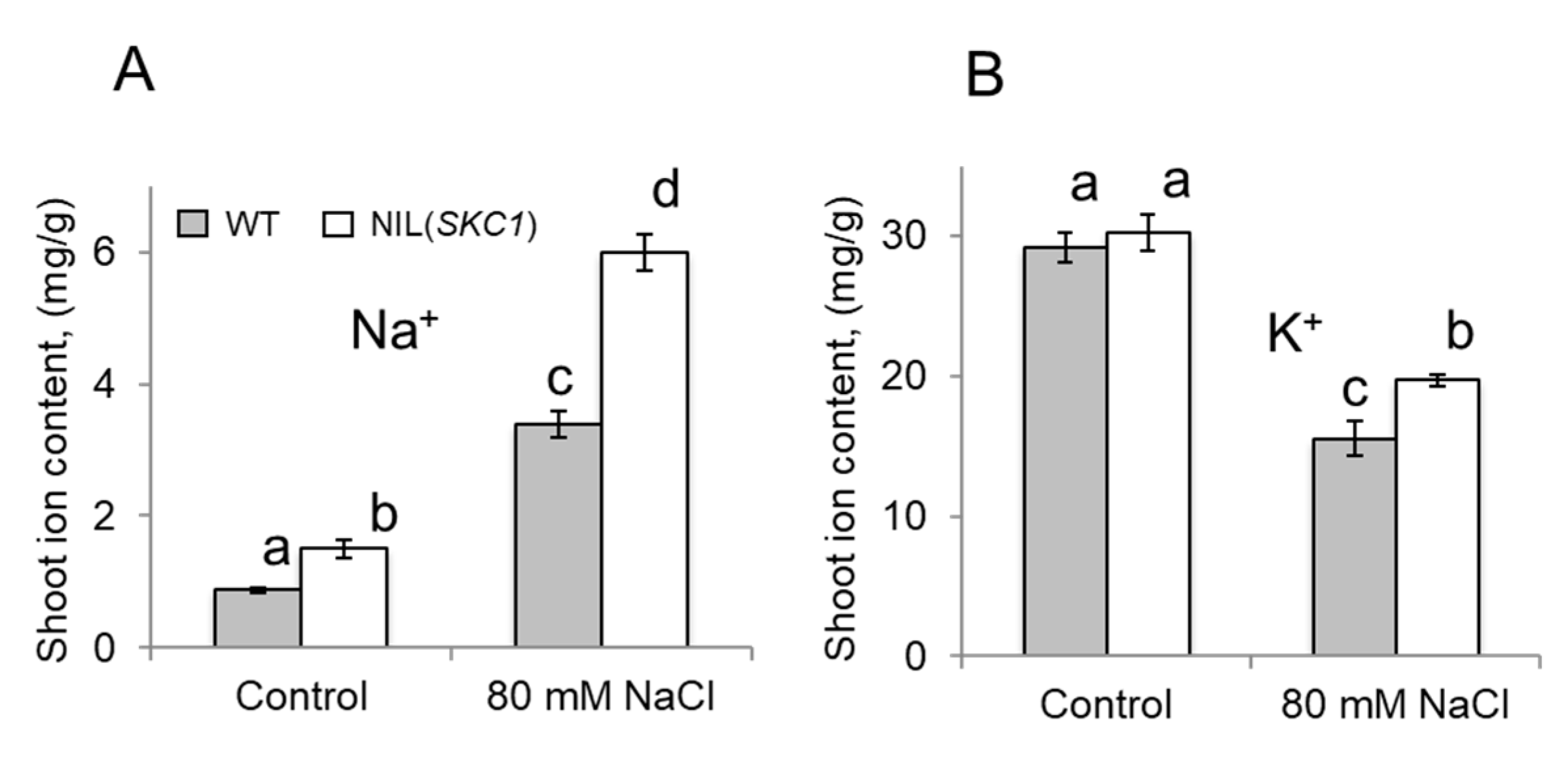 Ijms 21 04882 g003 Ijms 21 04882 g003
