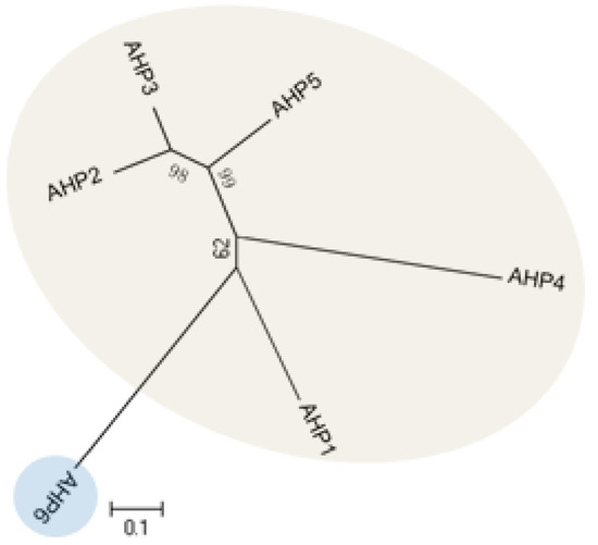 The Interaction Network and Signaling Specificity of Two