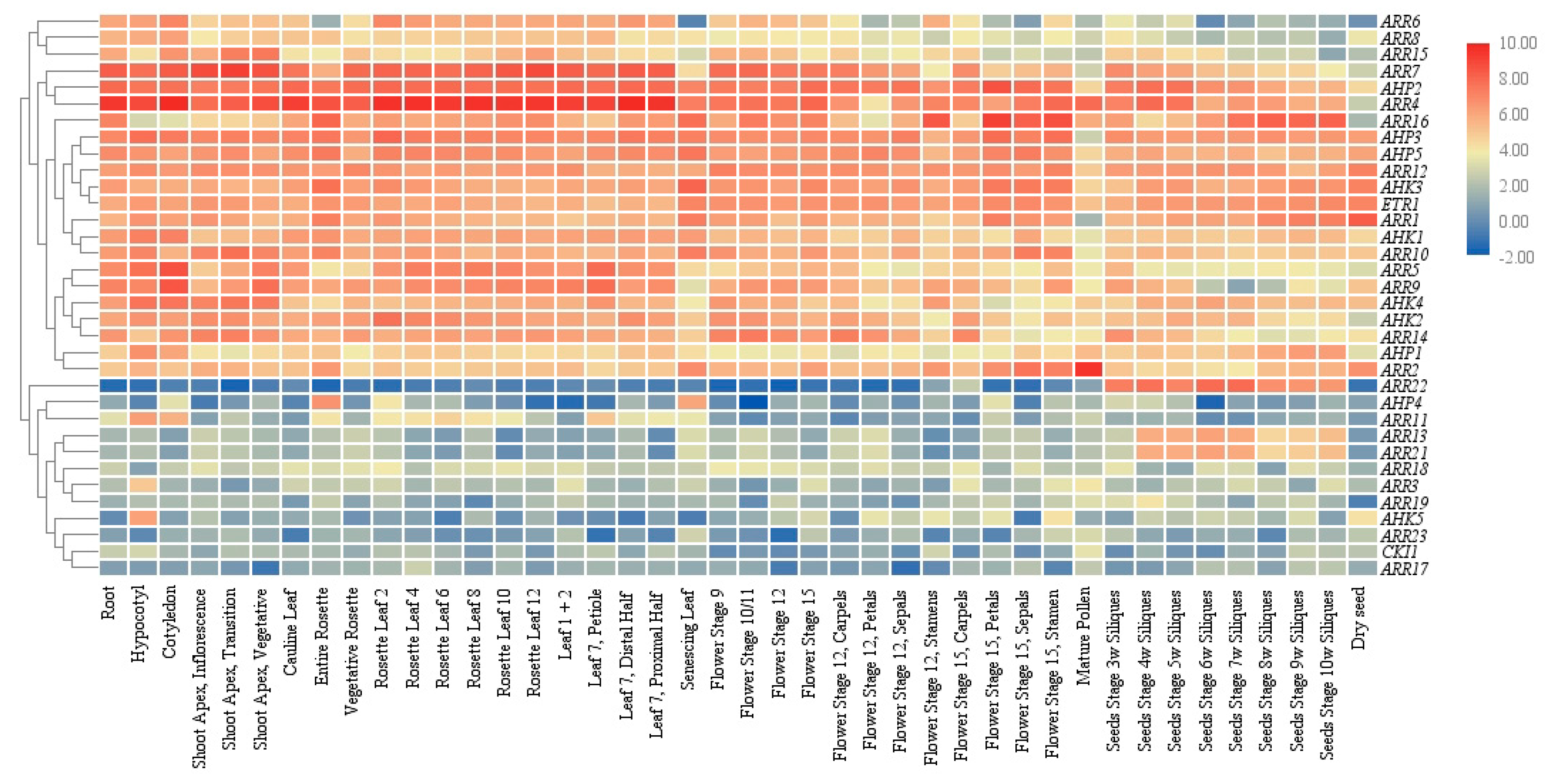 Ijms 21 04898 g008 Ijms 21 04898 g008