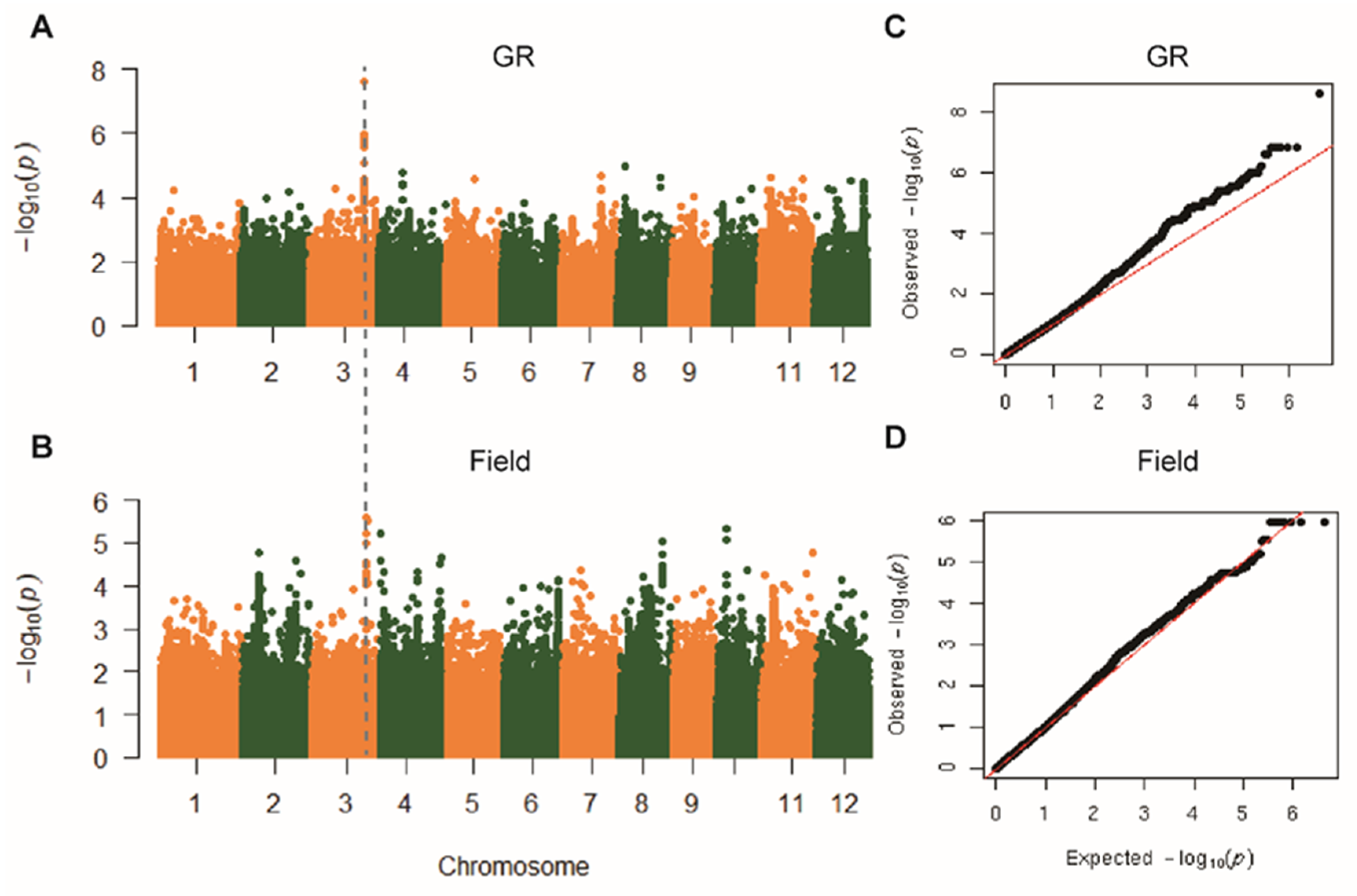 Ijms 21 04930 g002 Ijms 21 04930 g002