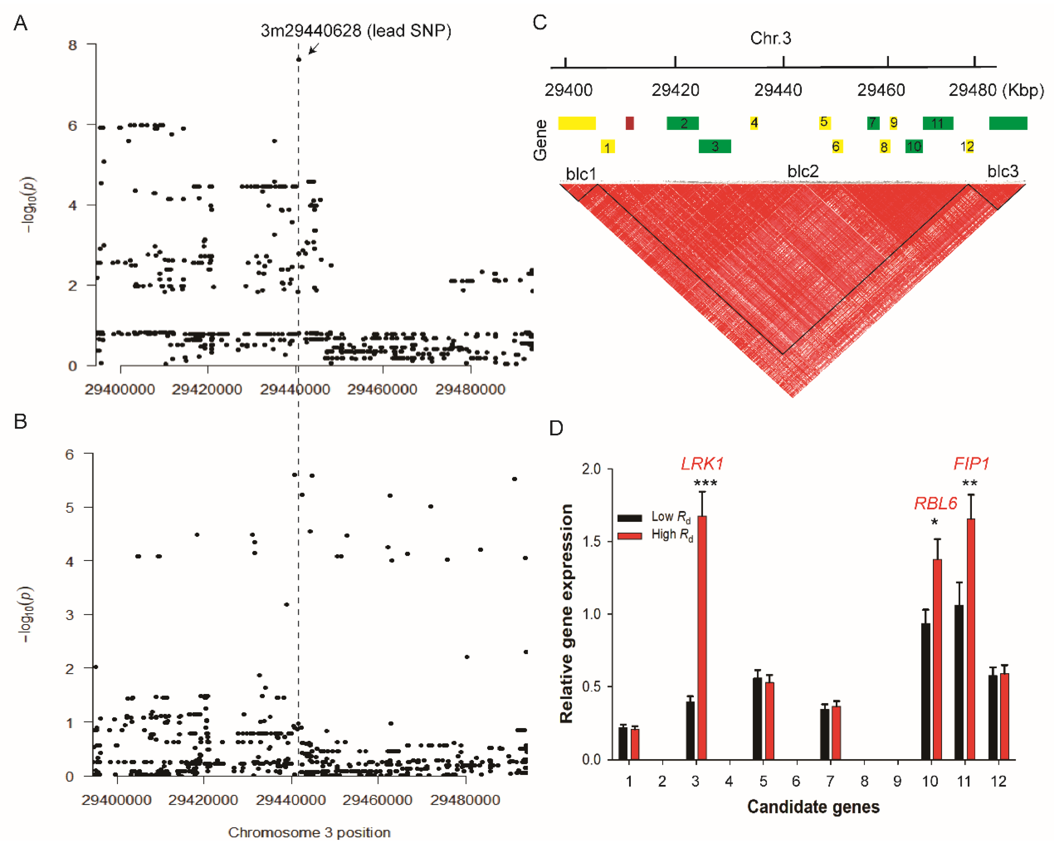 Ijms 21 04930 g003 Ijms 21 04930 g003