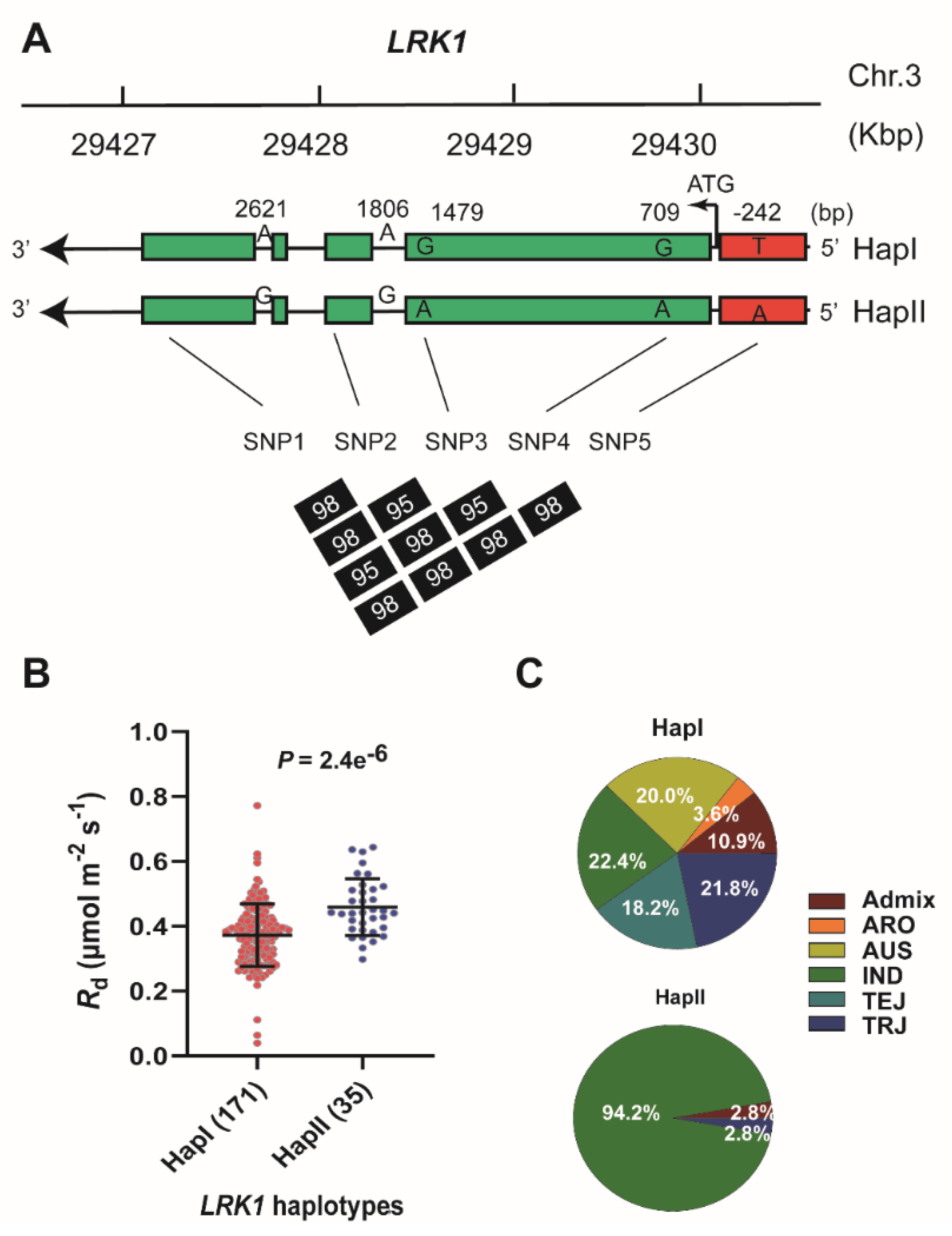 Ijms 21 04930 g004 Ijms 21 04930 g004