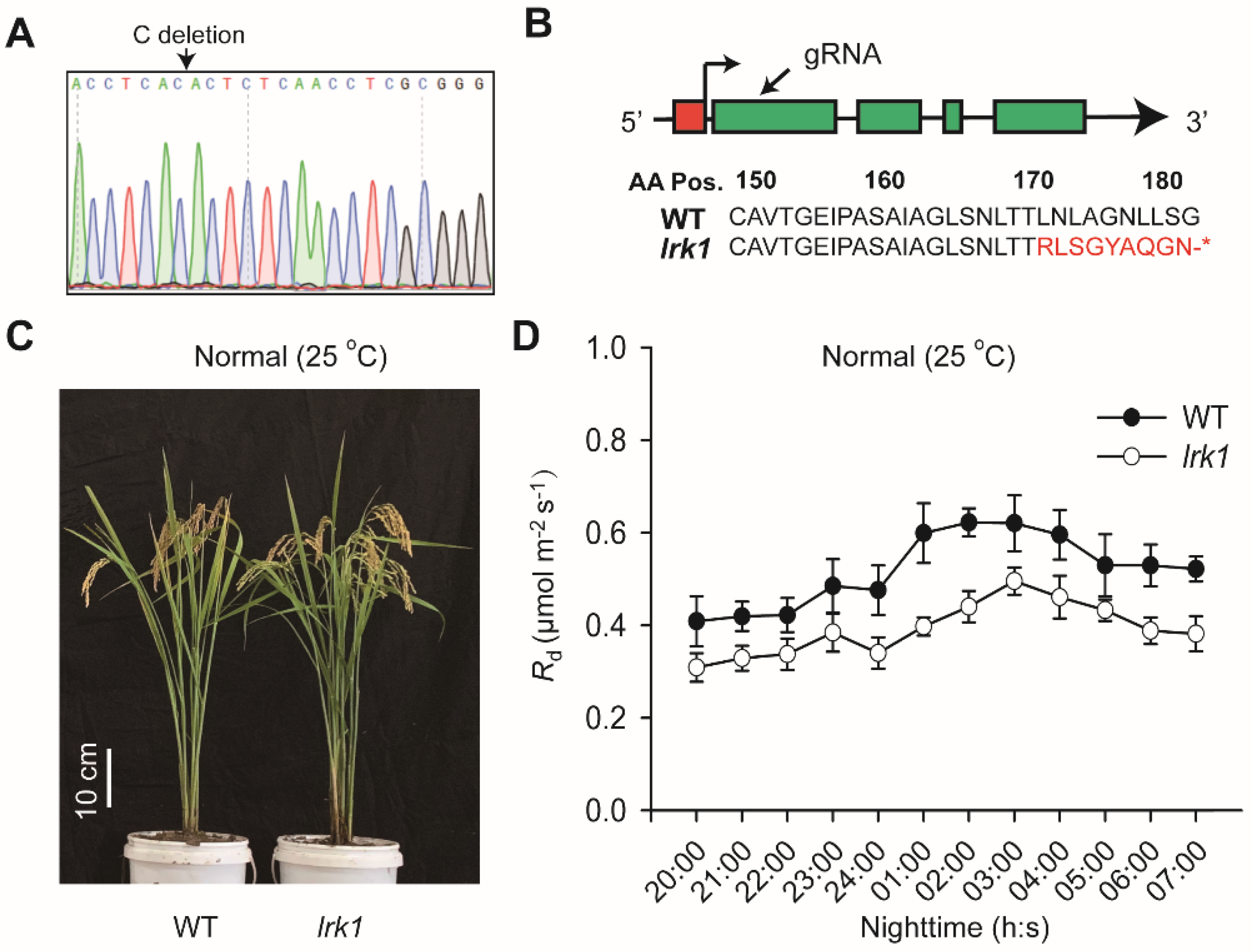 Ijms 21 04930 g005 Ijms 21 04930 g005