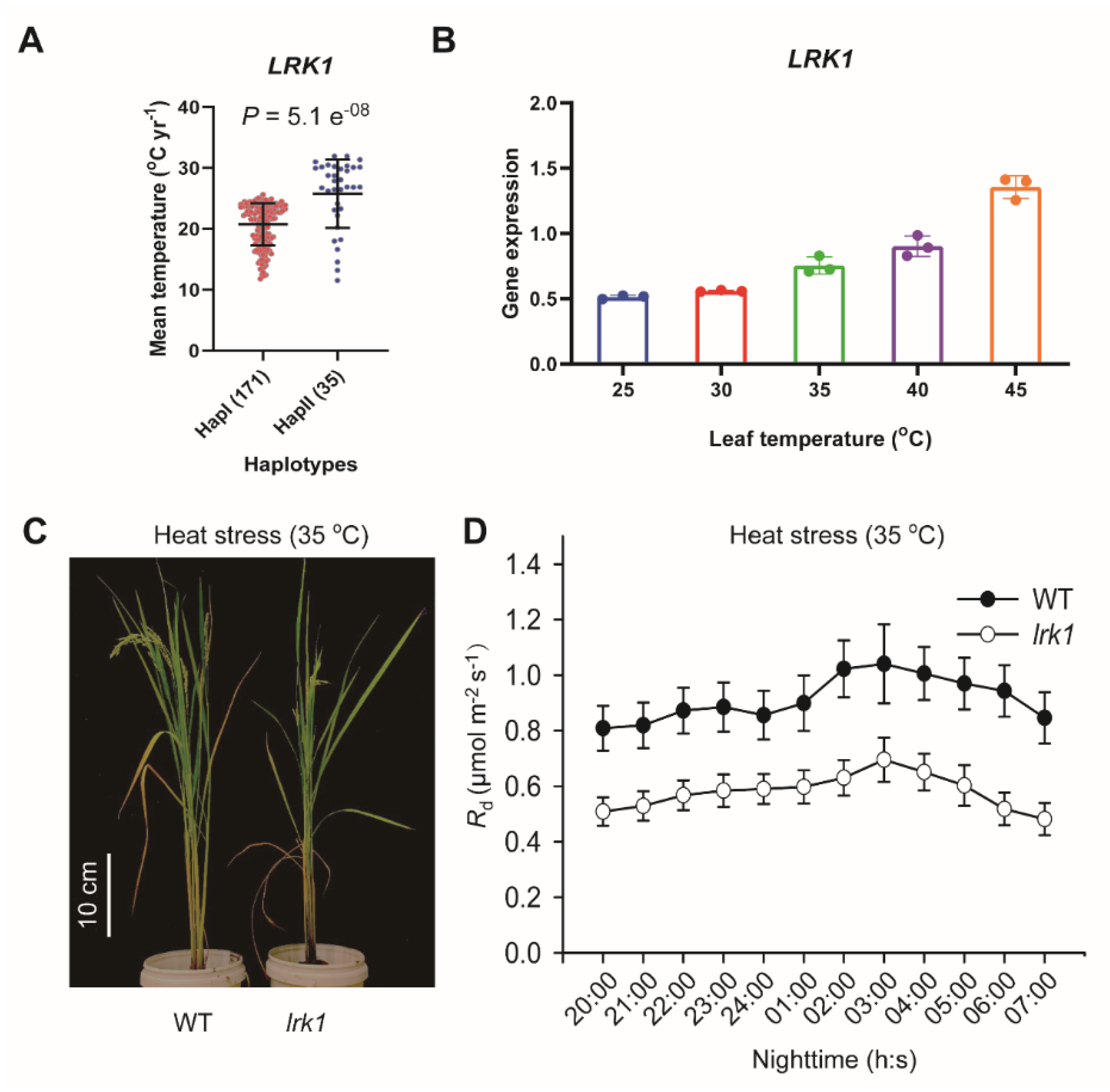 Ijms 21 04930 g006 Ijms 21 04930 g006