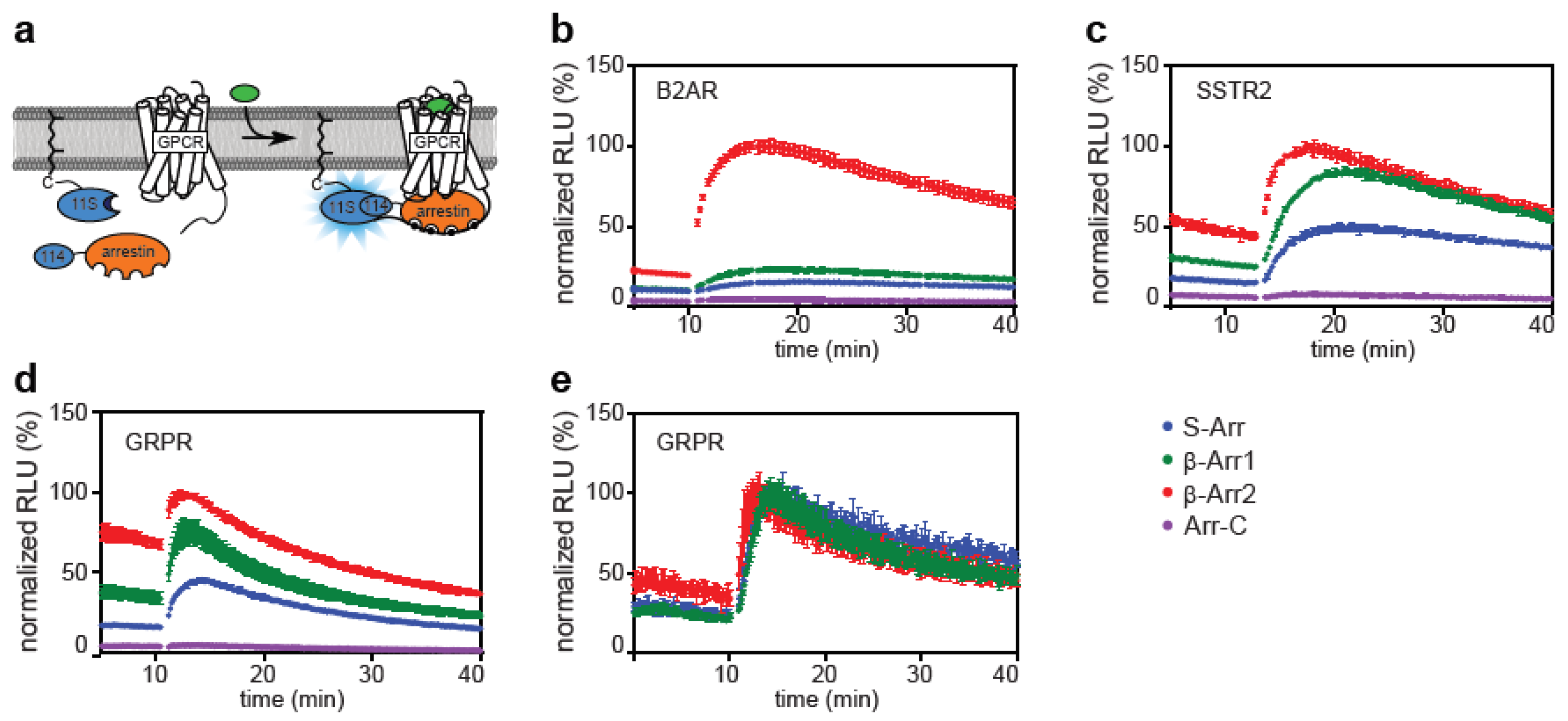 Ijms 21 04949 g002 Ijms 21 04949 g002