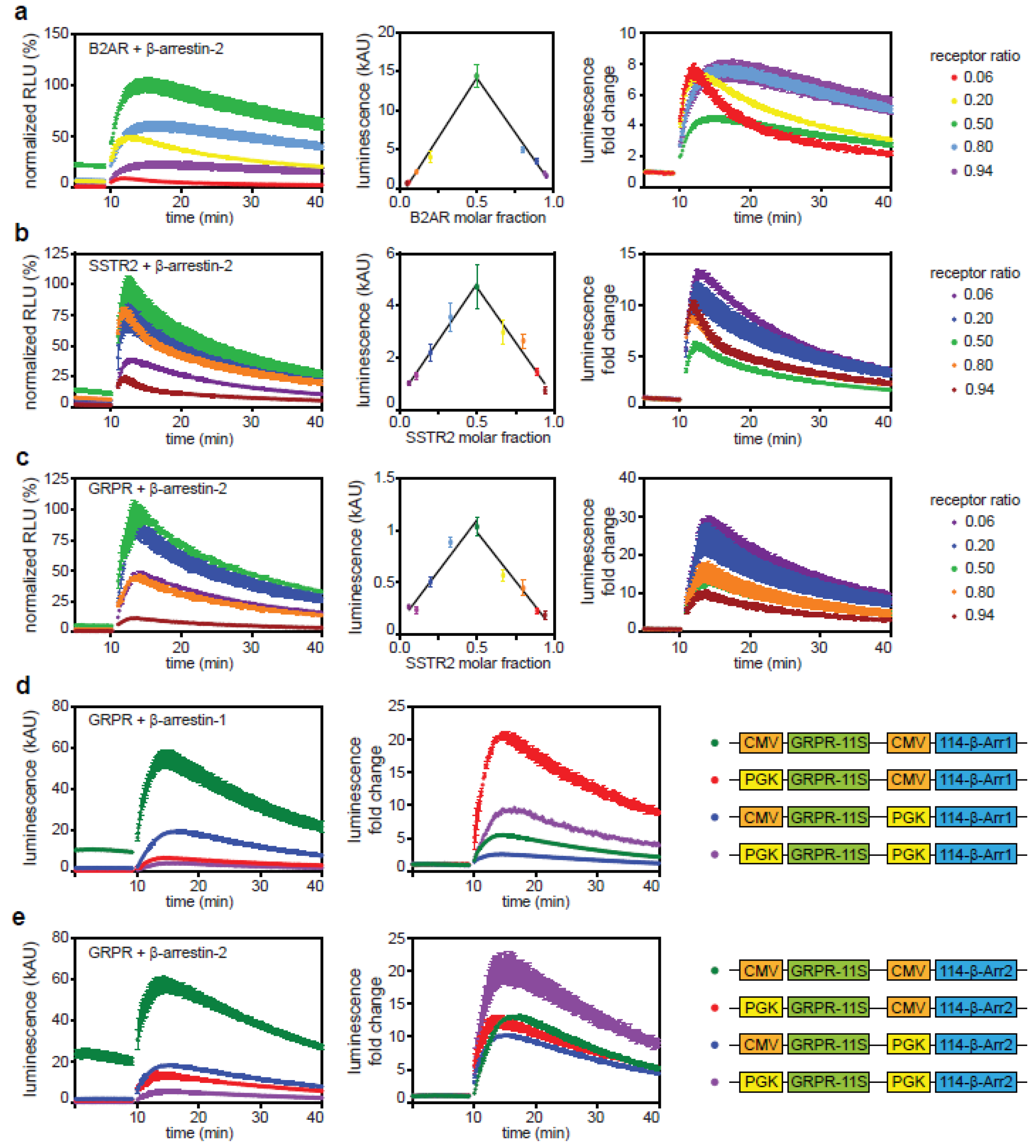 Ijms 21 04949 g005 Ijms 21 04949 g005