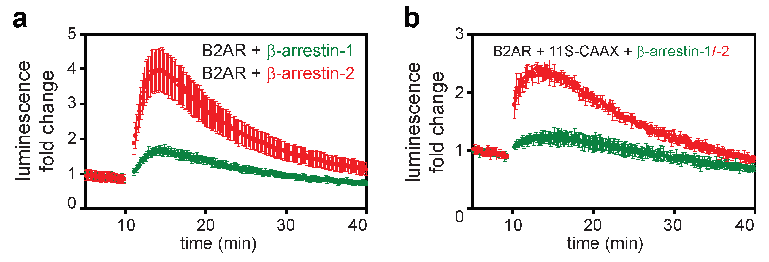 Ijms 21 04949 g006 Ijms 21 04949 g006