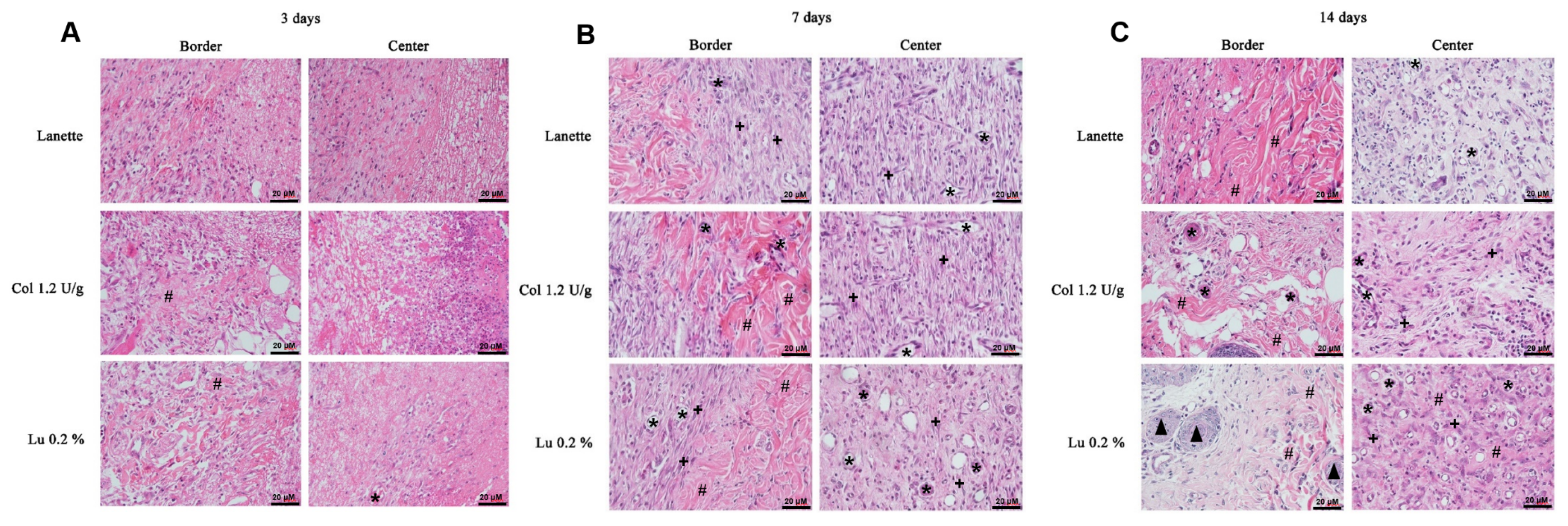 Ijms 21 04952 g002 Ijms 21 04952 g002