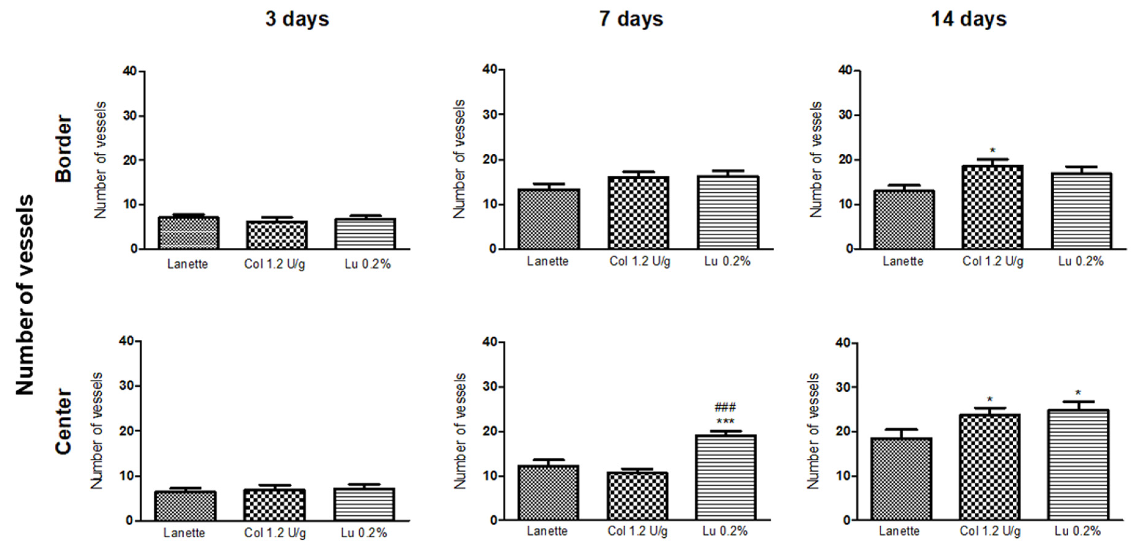 Ijms 21 04952 g004 Ijms 21 04952 g004