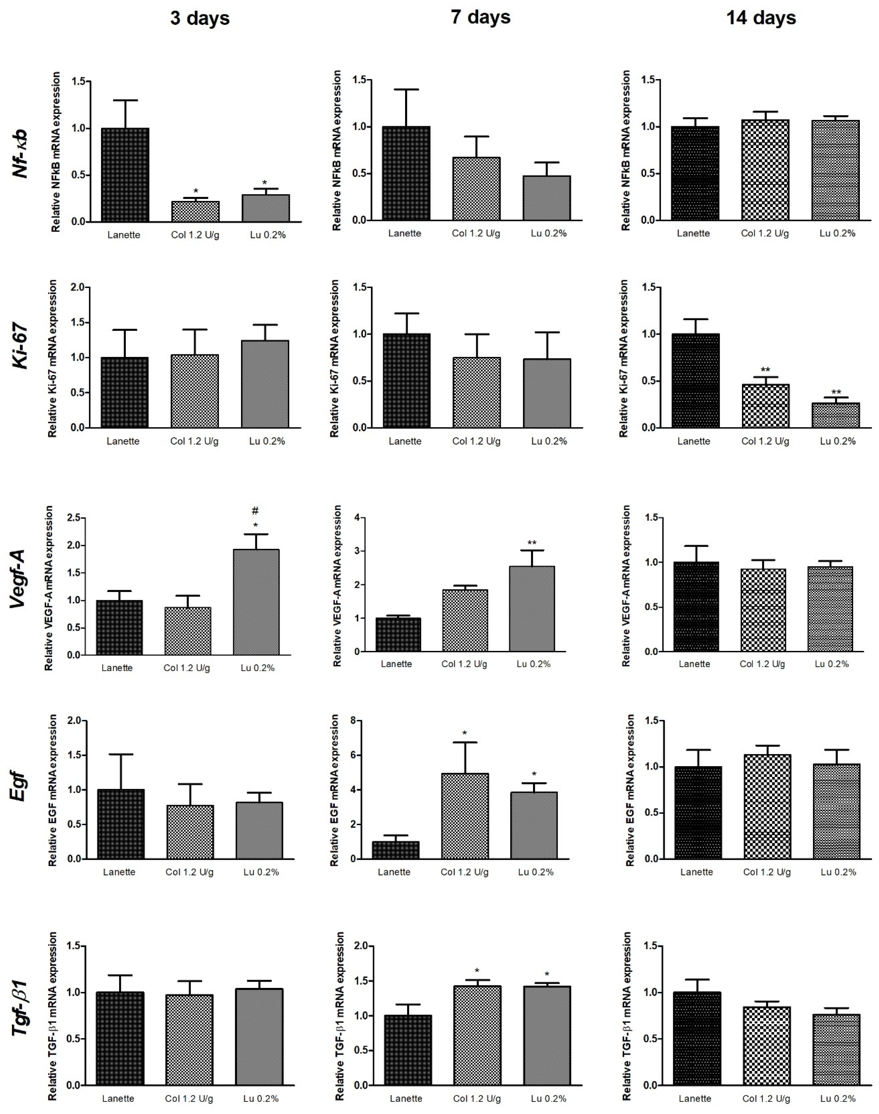 Ijms 21 04952 g011 Ijms 21 04952 g011