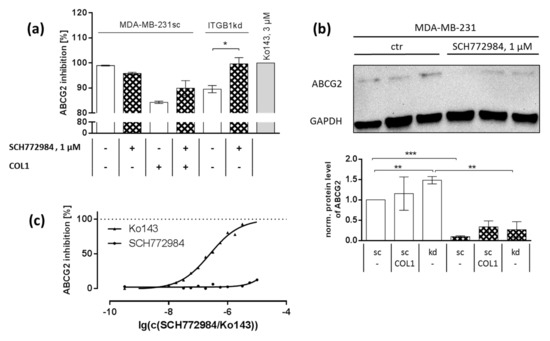 Targeting Discoidin Domain Receptor 1 (DDR1) Signaling and Its